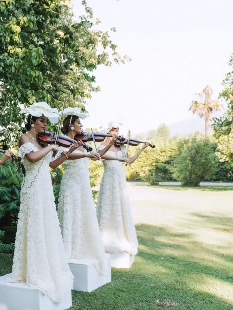 Beyond solo performance, The Royal Violinist provides access to an elite network of professional musicians known as the National Royal Chamber Collective. 

Through The Royal Violinist, bespoke ensembles and accompaniment can be curated to match your