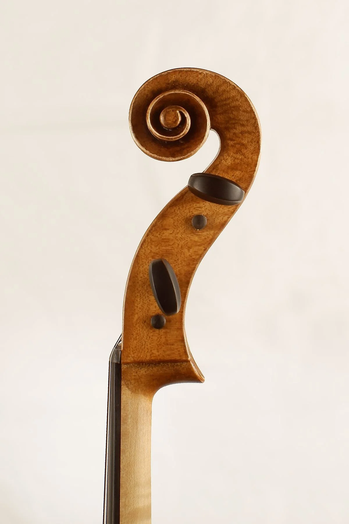 Cello Detail for Wedding String Ensemble