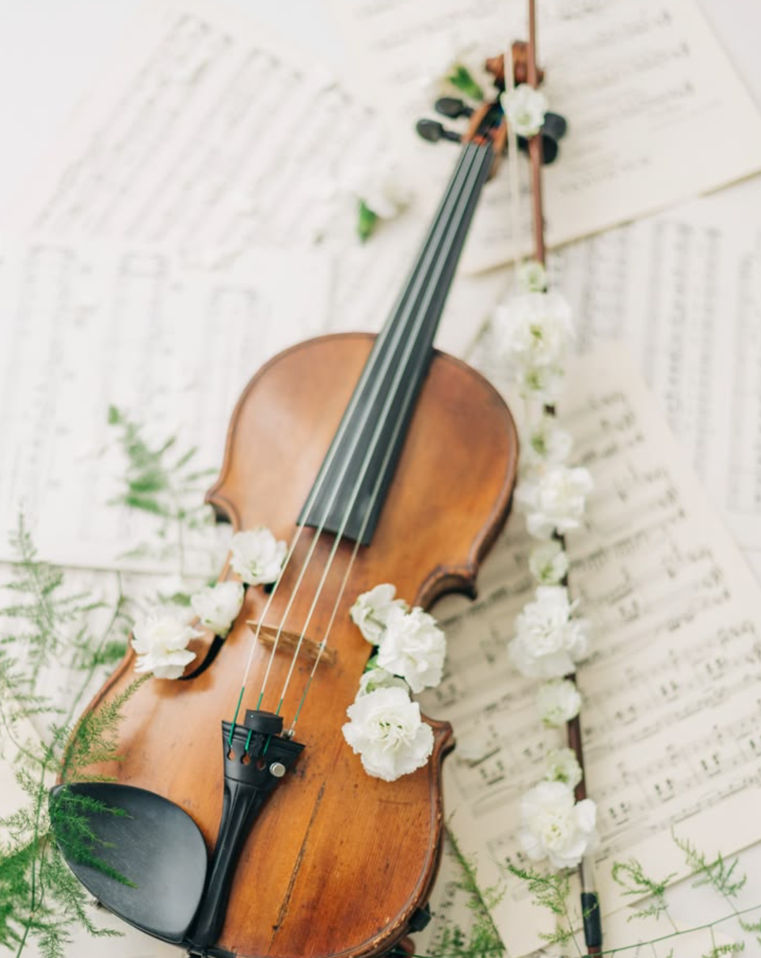 Northwest Arkansas Wedding Violinist