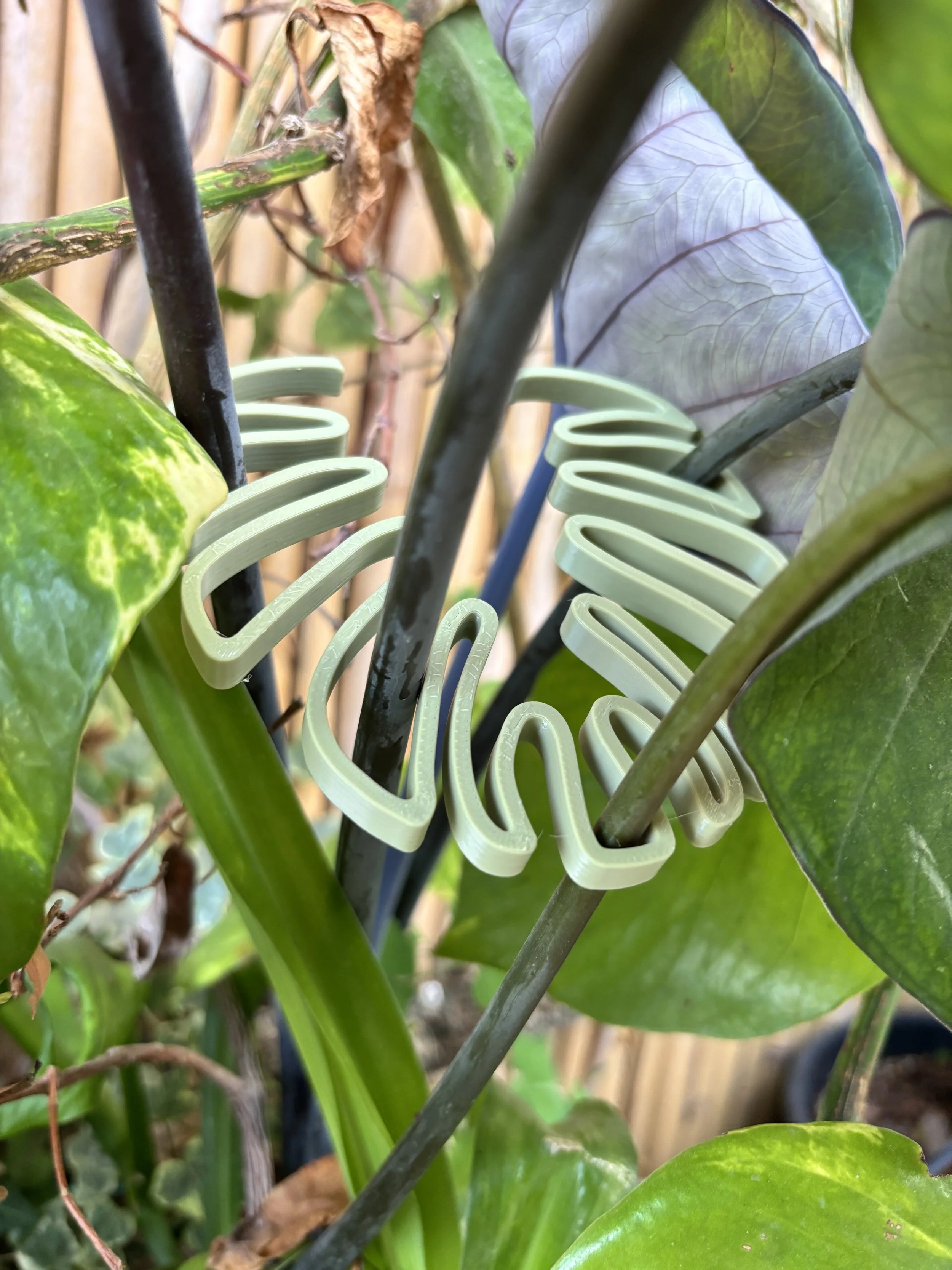 Plant Stem Support Monstera Shaped