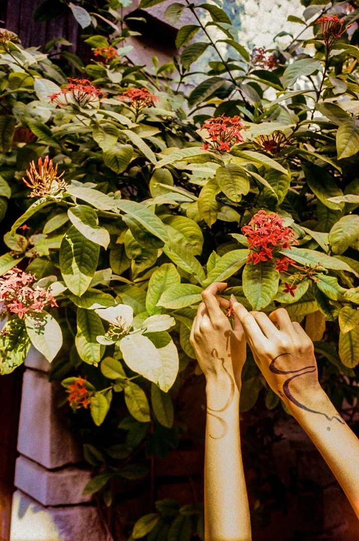 Azra Henna Mothanna Hussein - Jameel Jamaal - Fatima Mehreen - copyright Zeashan Ashraf (4).jpg