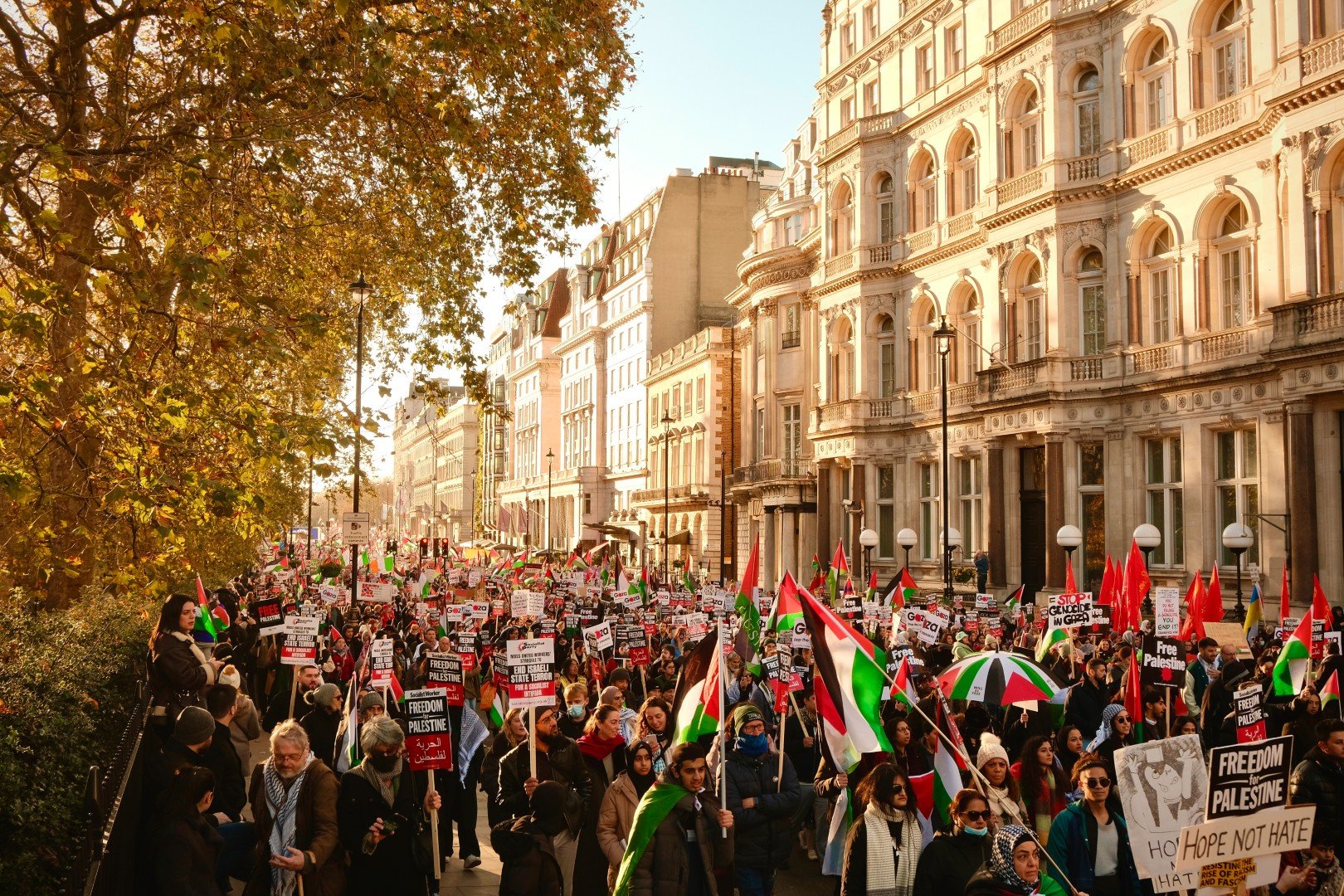 solidarity campaign zeashan ashraf (1).JPG