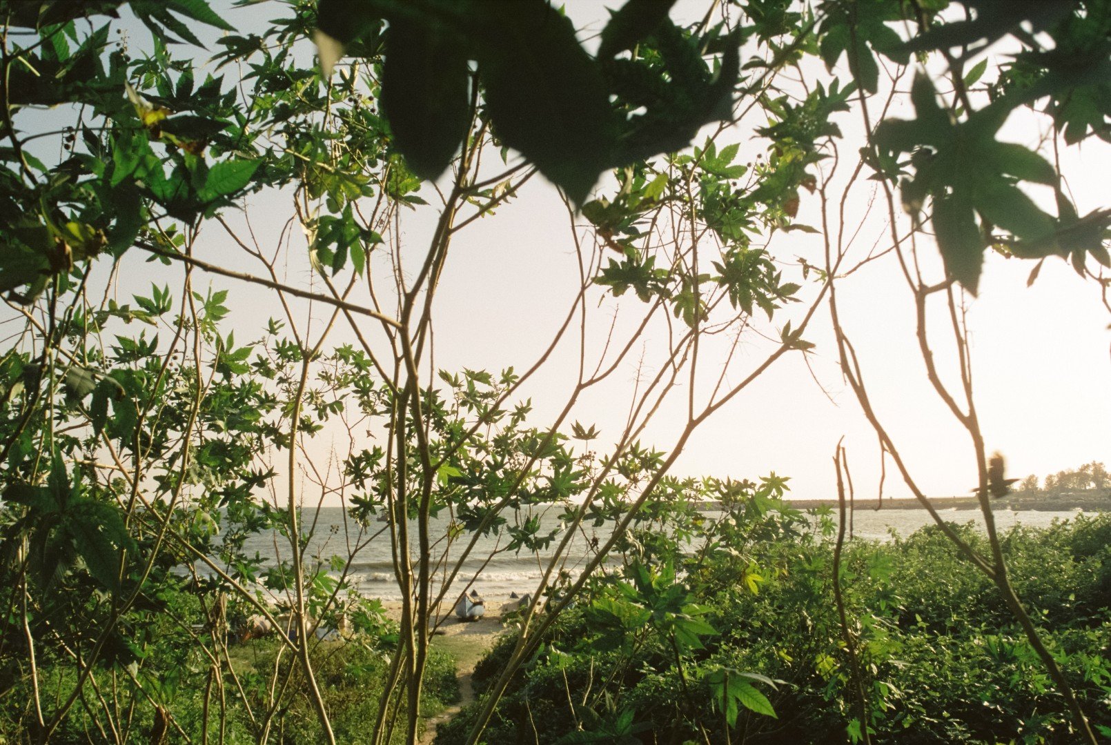 homeward kannur kerala copyright zeashan ashraf (3).jpg