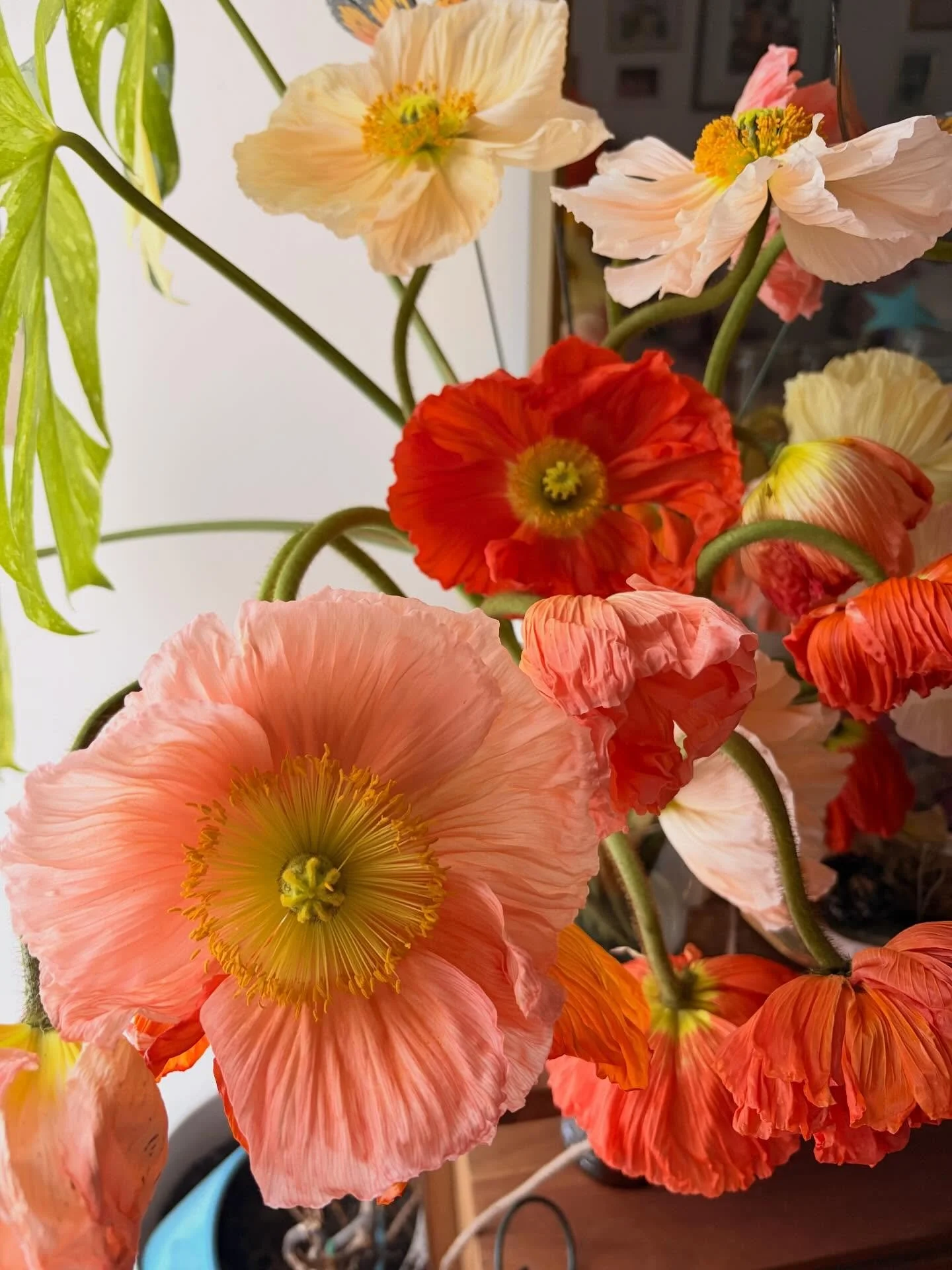 The prettiest lady on the block 😮&zwj;💨💋