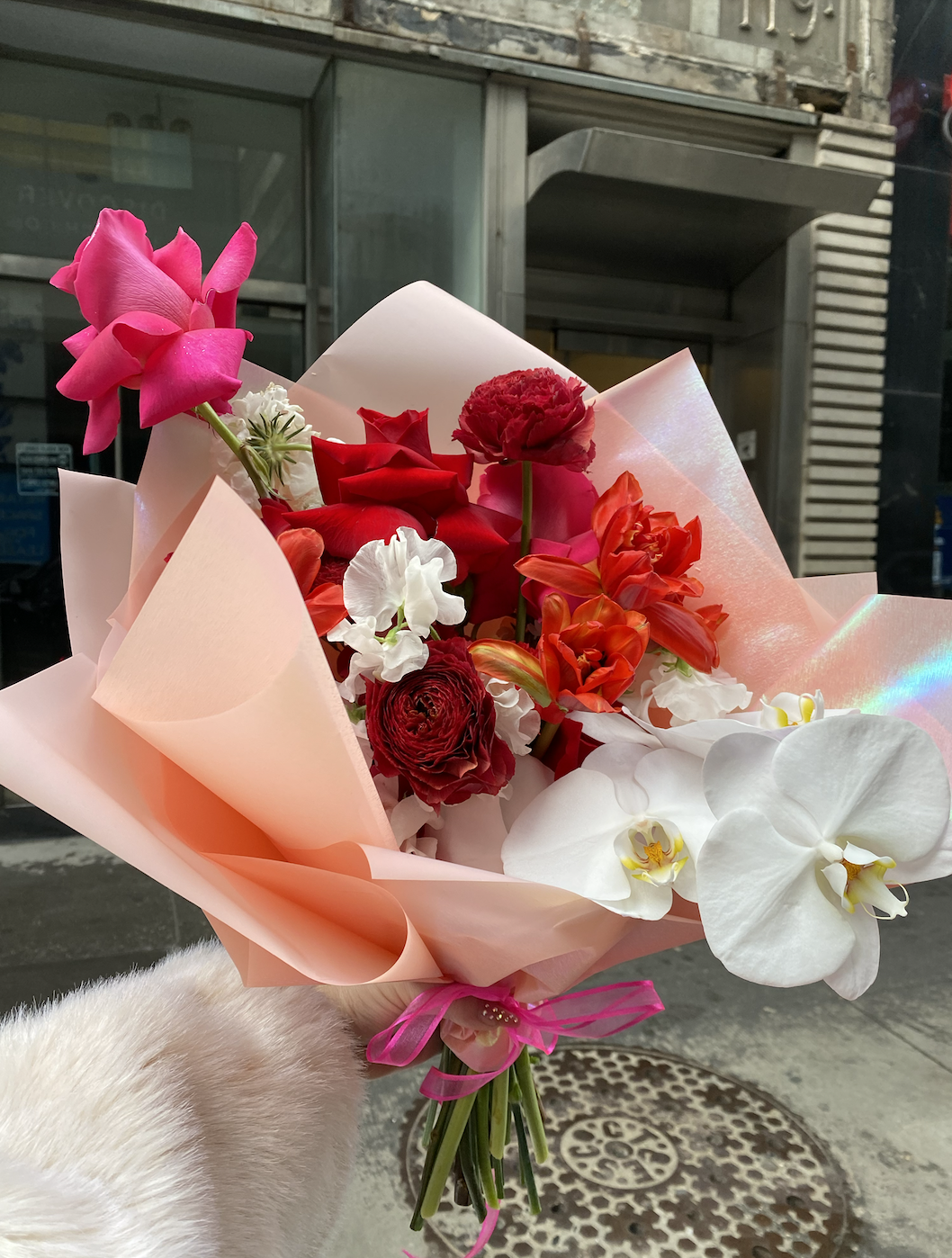 Screenshot 2026-01-17 at 10.18.04 PM.png