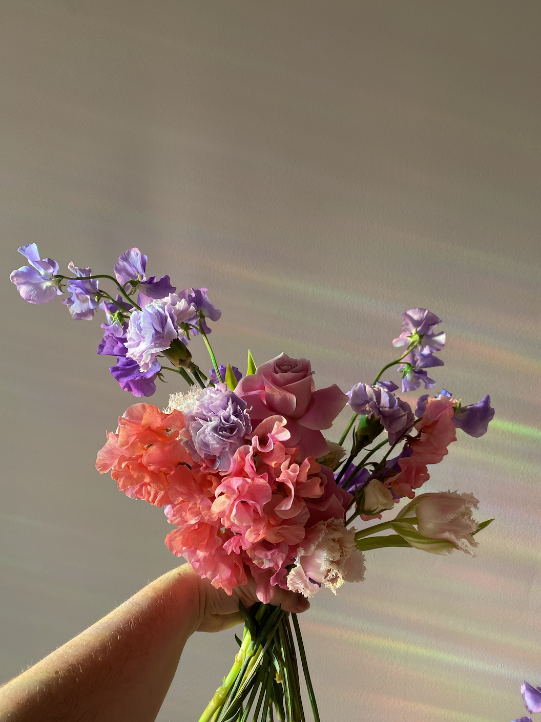 Screenshot 2026-01-17 at 10.18.12 PM.png