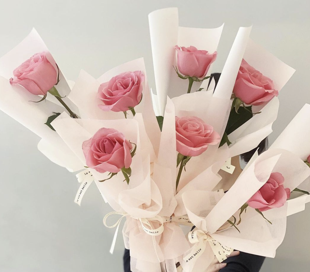 wrapped rose - valentine's day