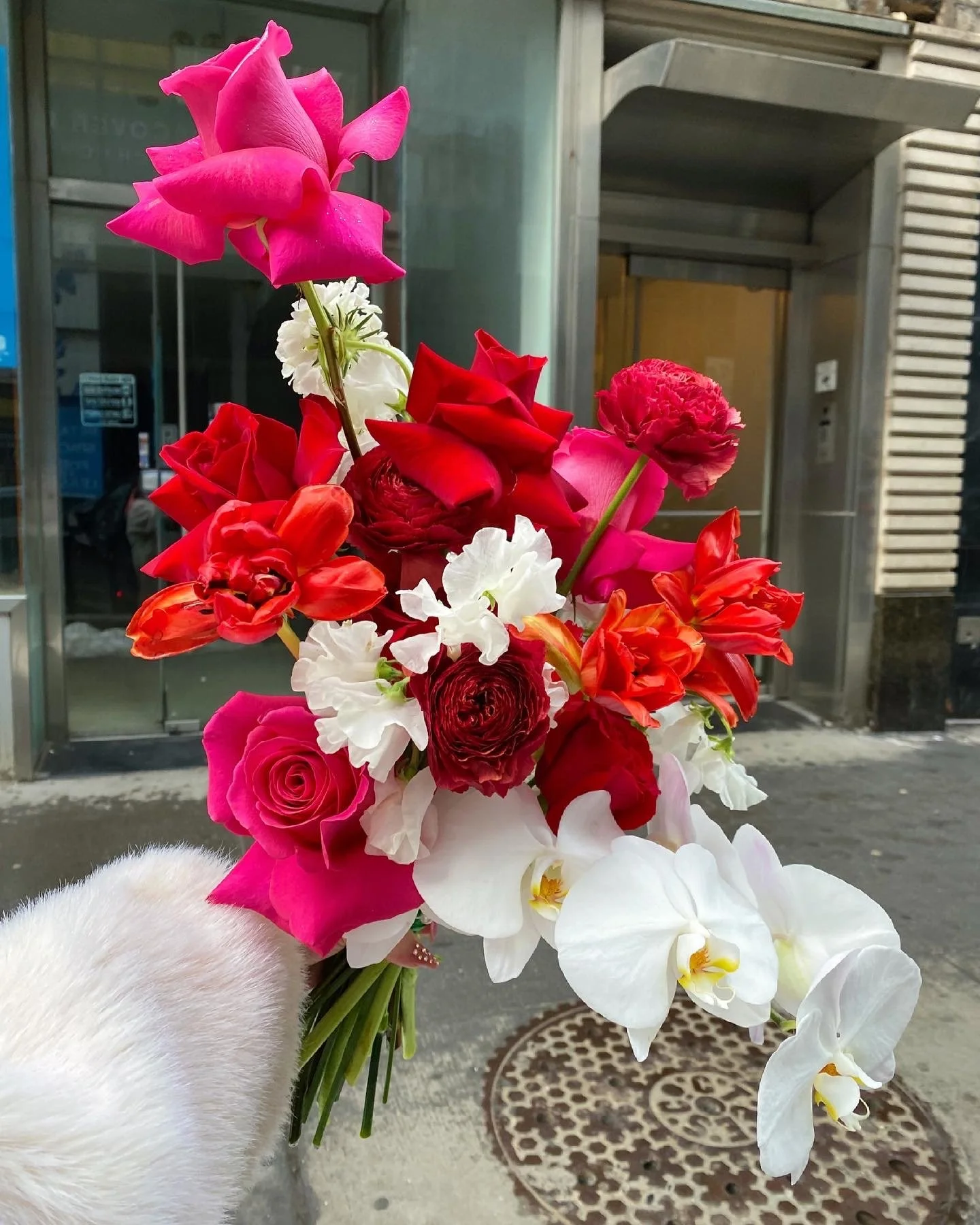 067A6B52-5287-4F37-9581-4904928AAFEA (1).jpg