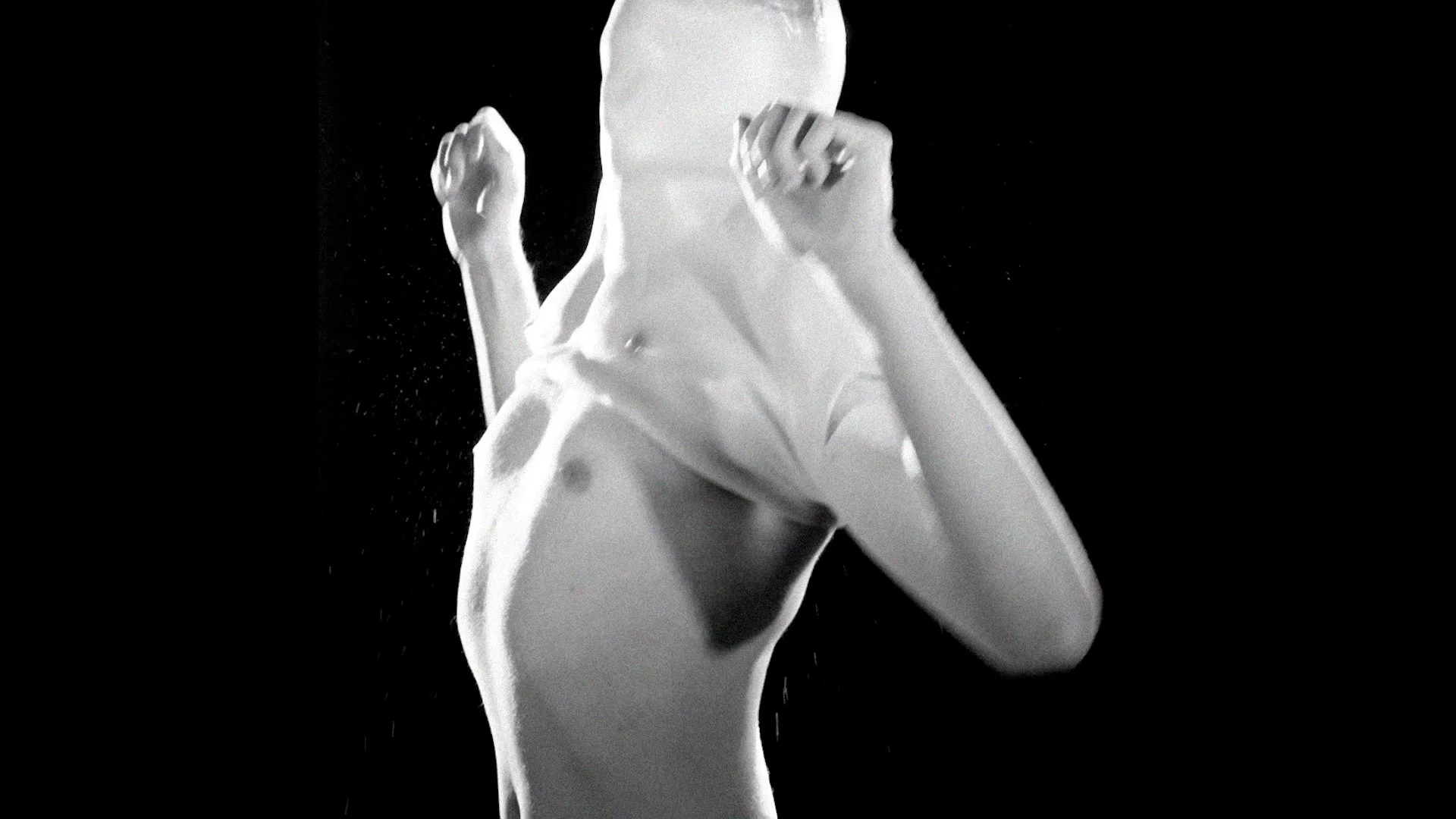 STUD | VIDEO | STILL FRAME