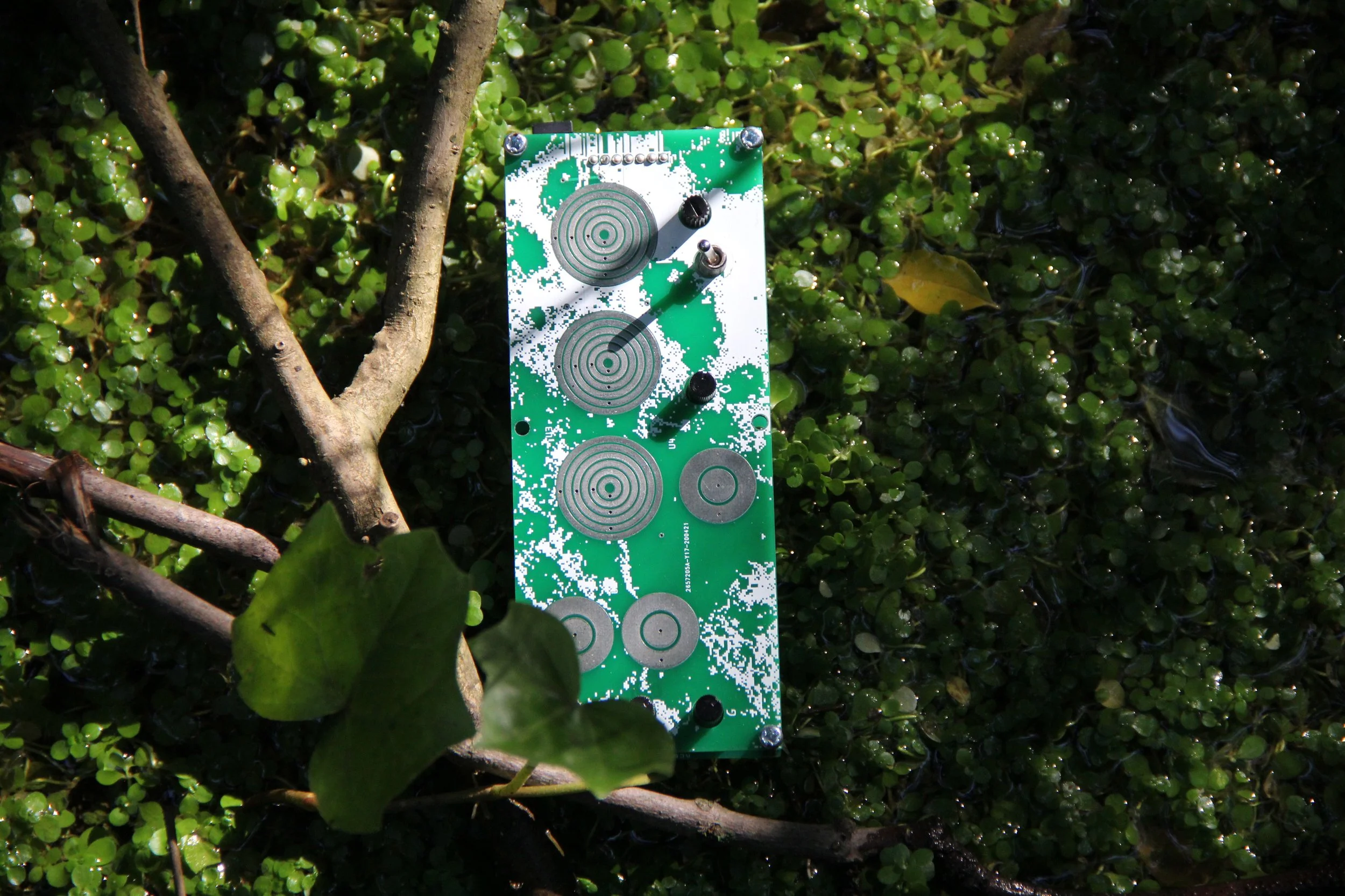 A green and white electronic device with circular metallic sensors on a wet, leafy surface, surrounded by small green plants, sticks, and a leaf.