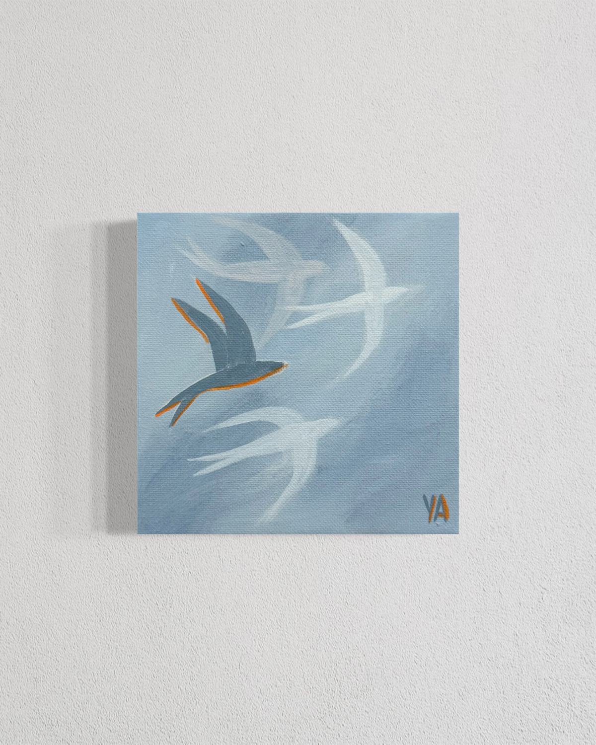 BARN SWALLOWS / SMALL STORY #1