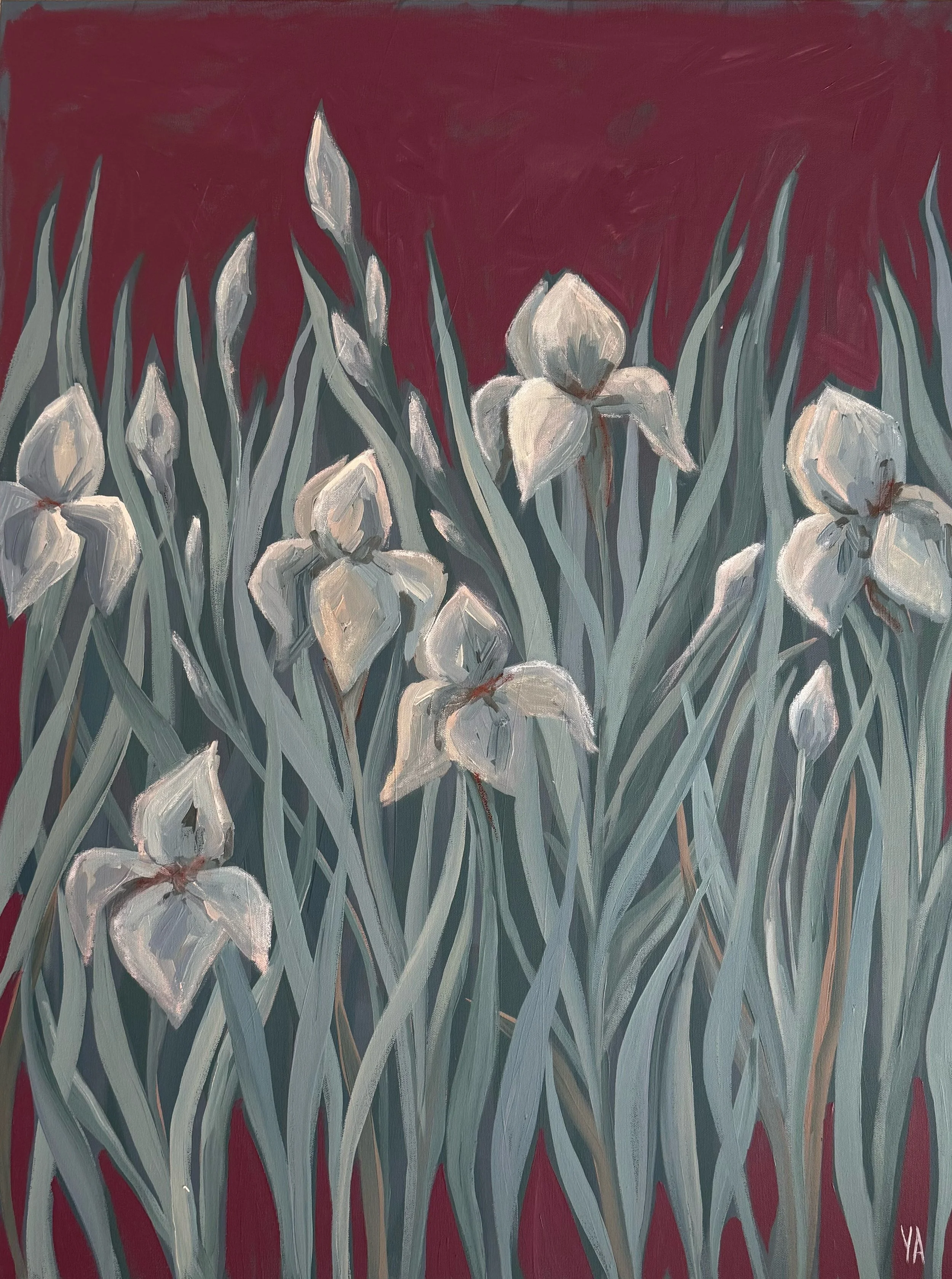 IRISES