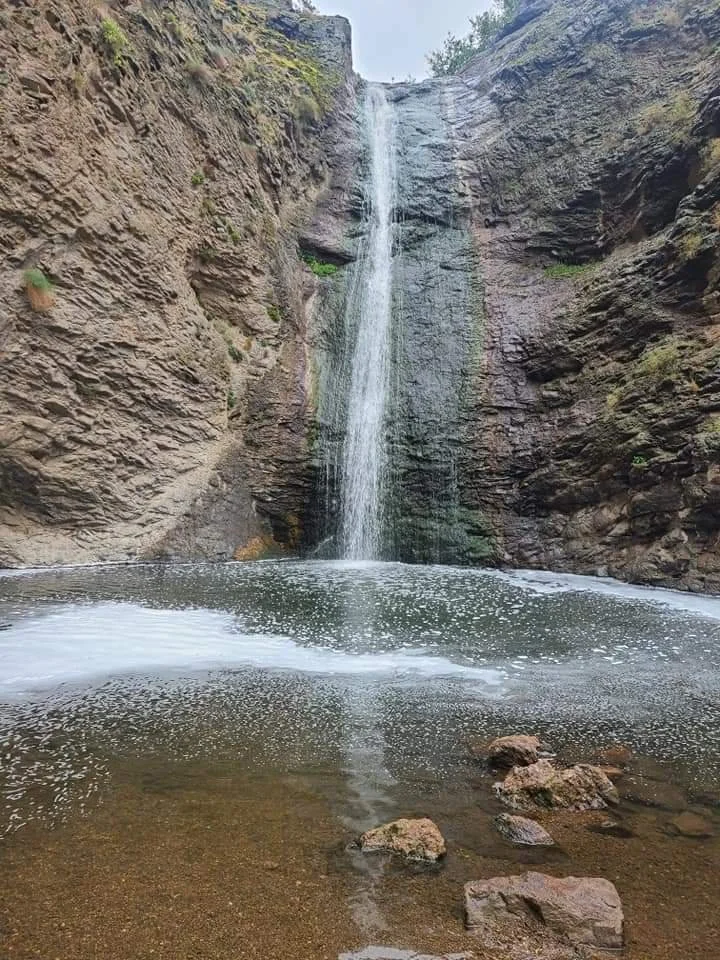 AI-lead generated-SMS-email-iv therapy