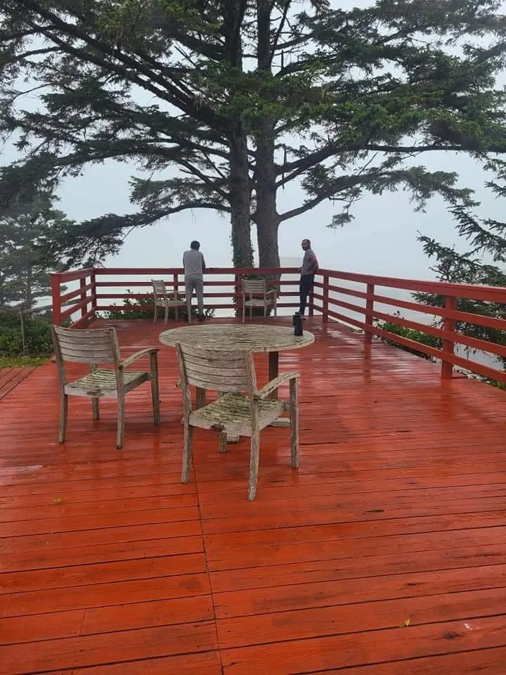 local-Idaho-automated leads-increased revinue