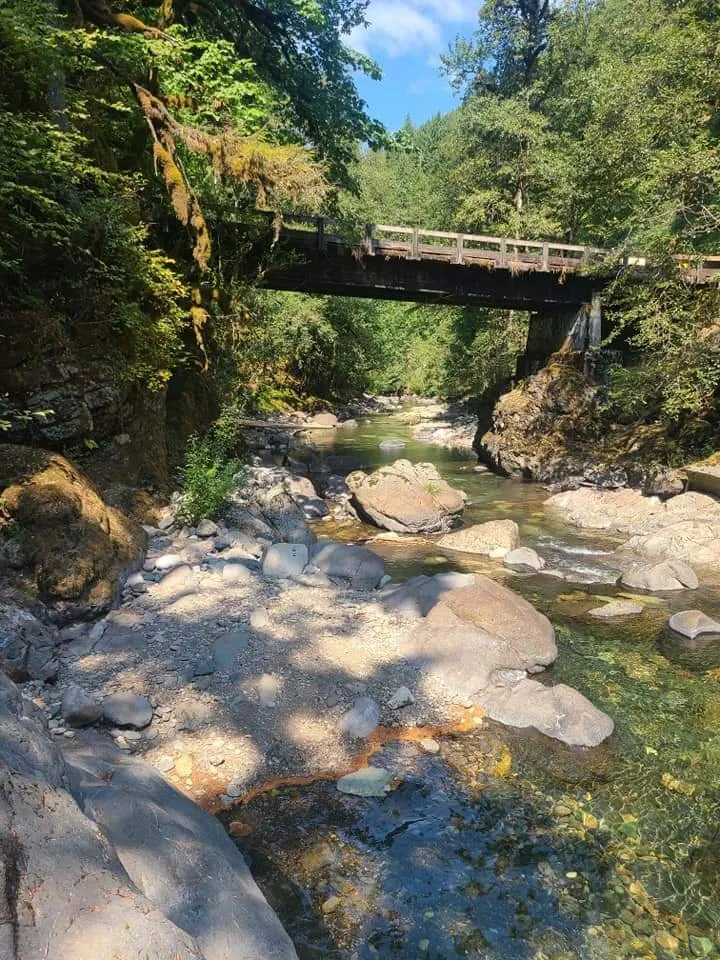 financial freedom-wellness-endgame