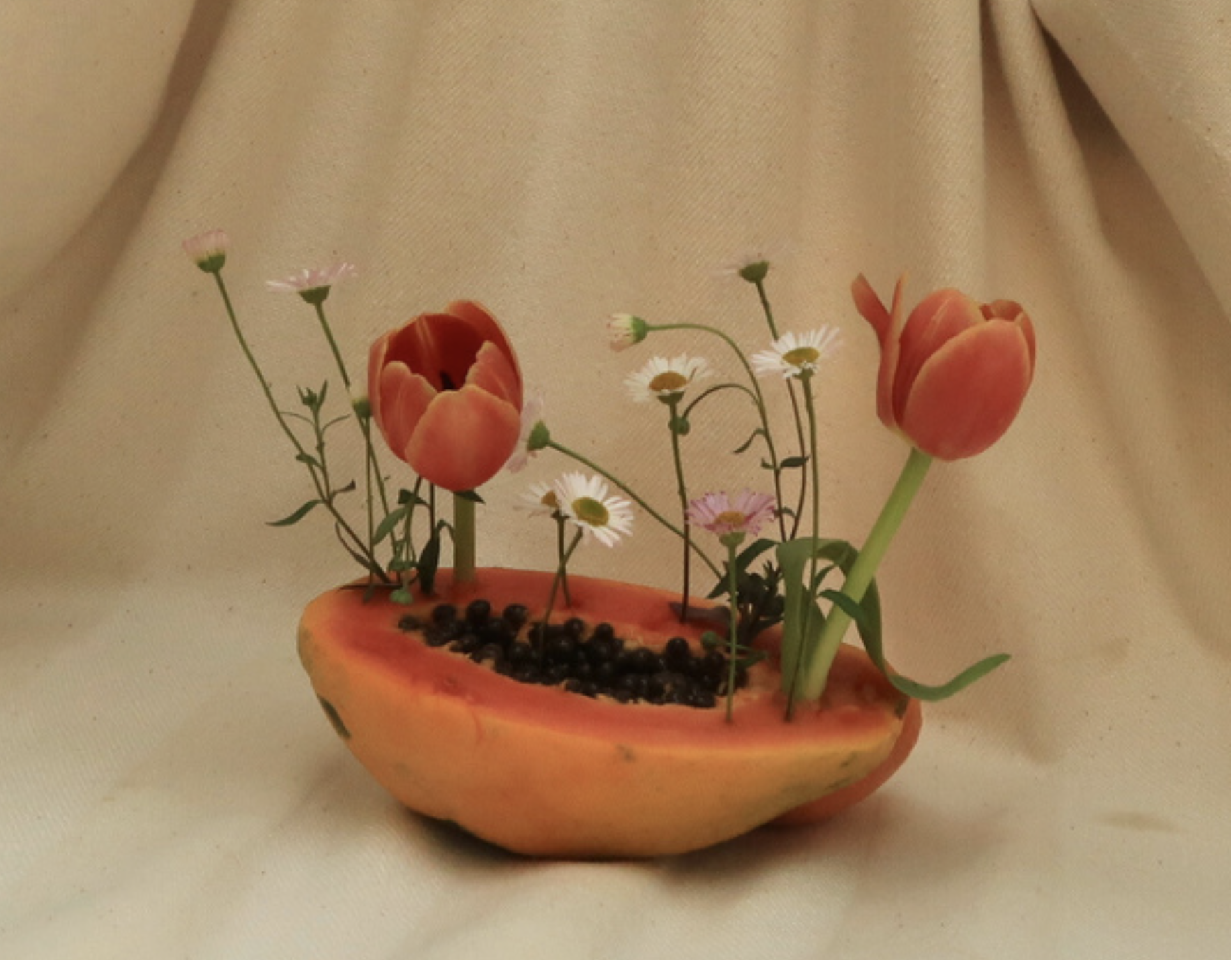 Screenshot 2026-01-17 at 01.23.05.png