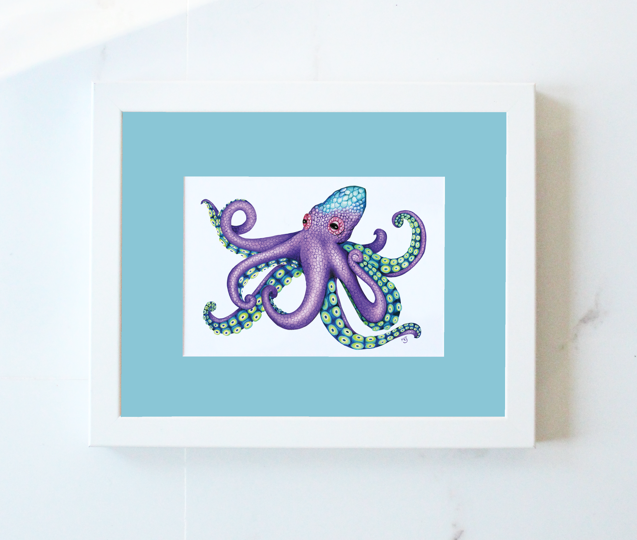 Octopus