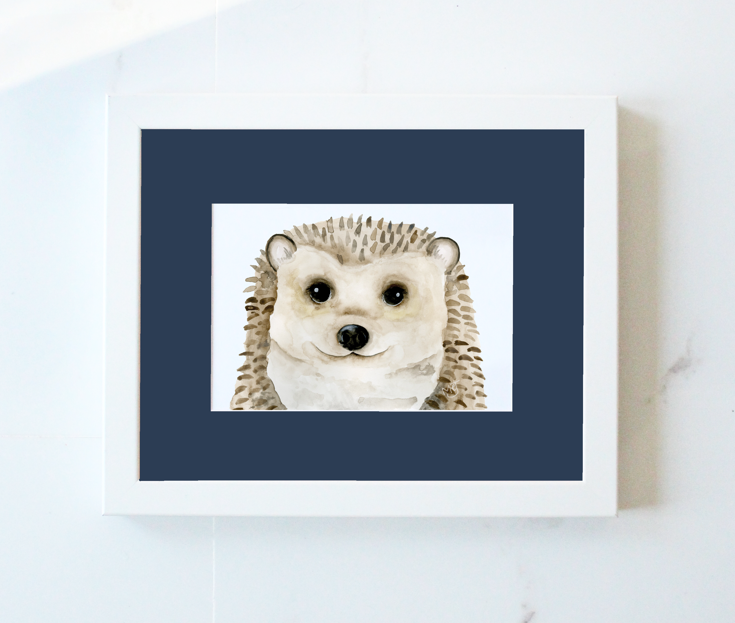 Mr.Hedgehog
