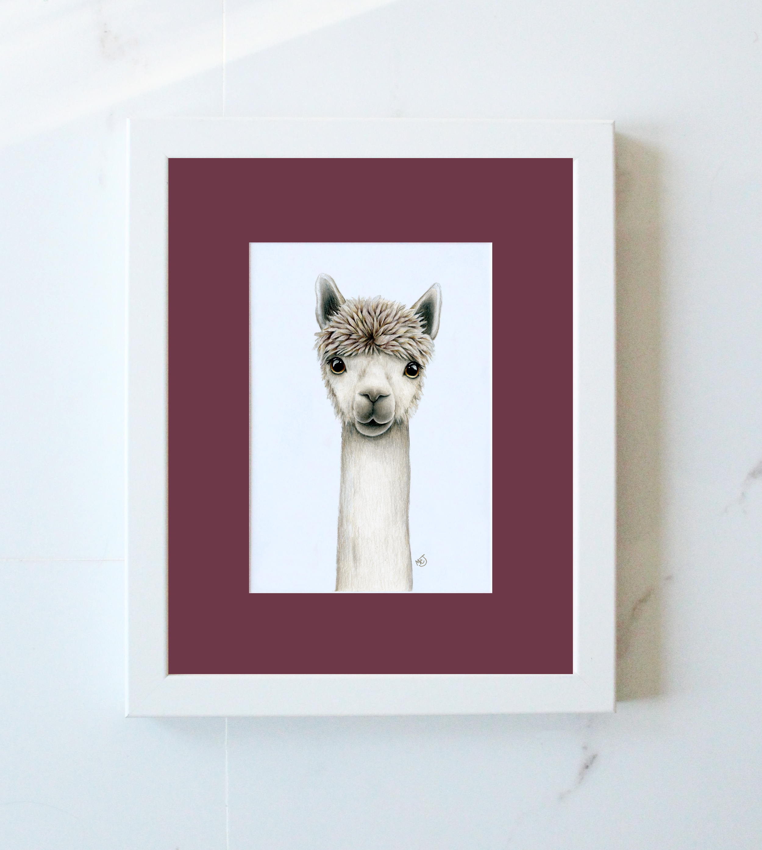 Alpaca