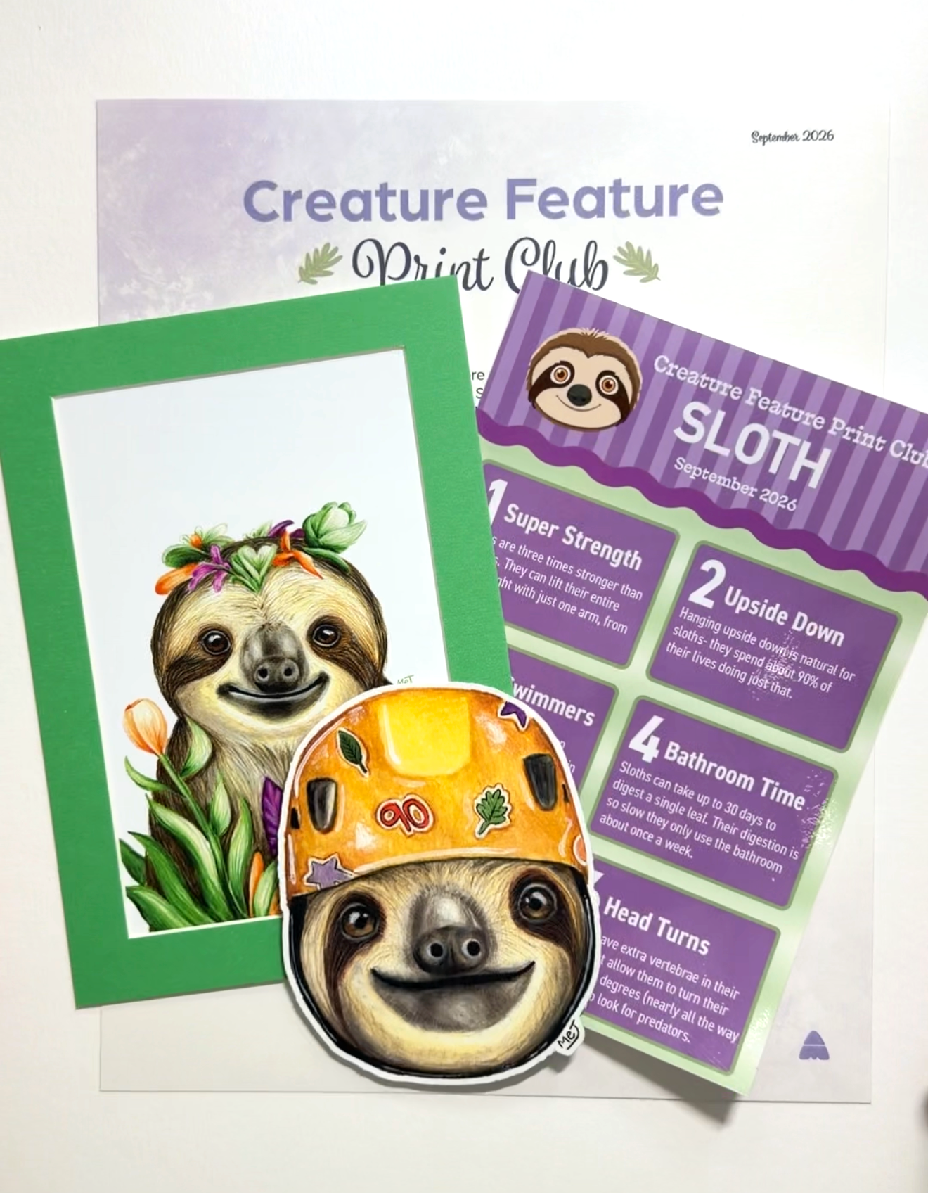 sloth pic.png