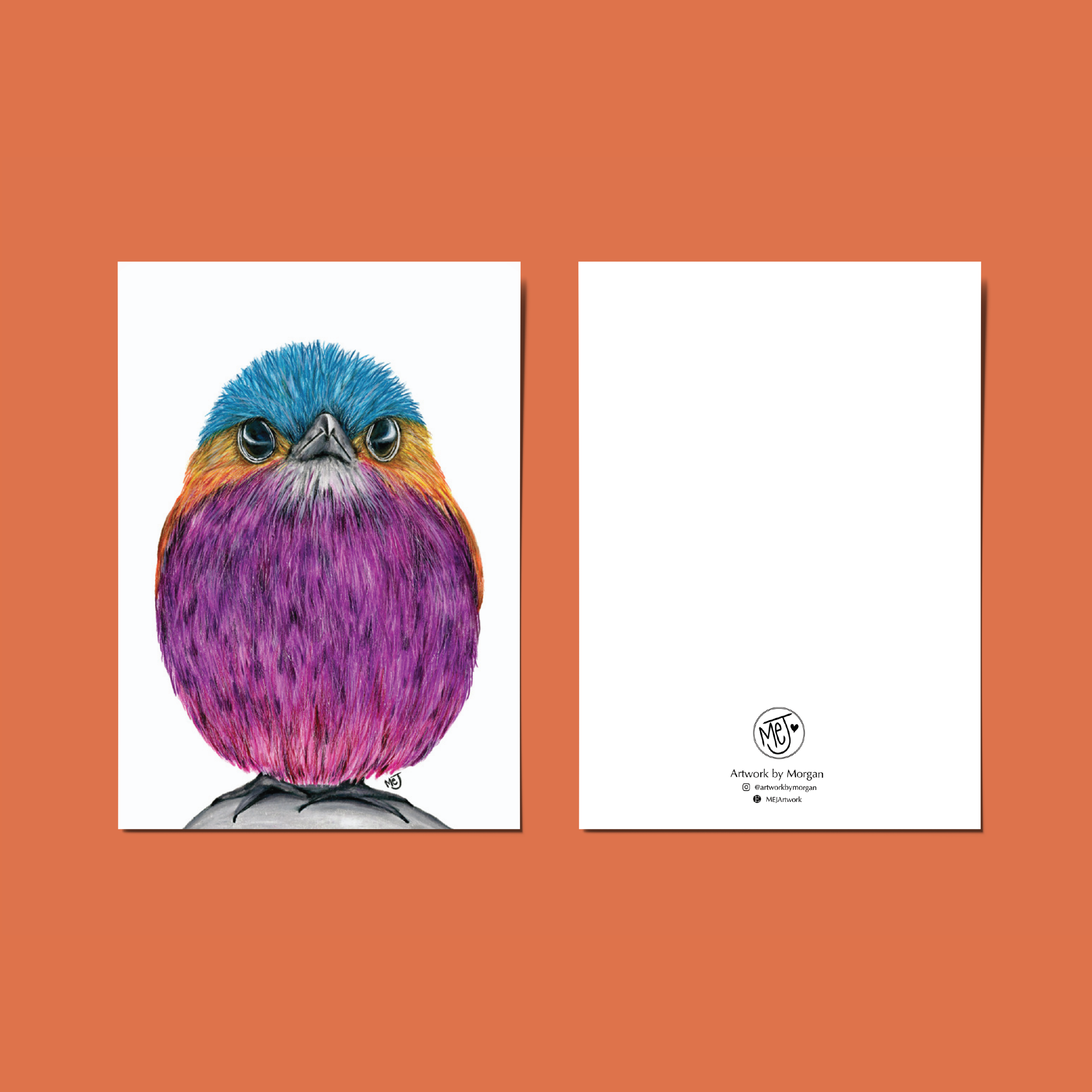 bird colorful square.png