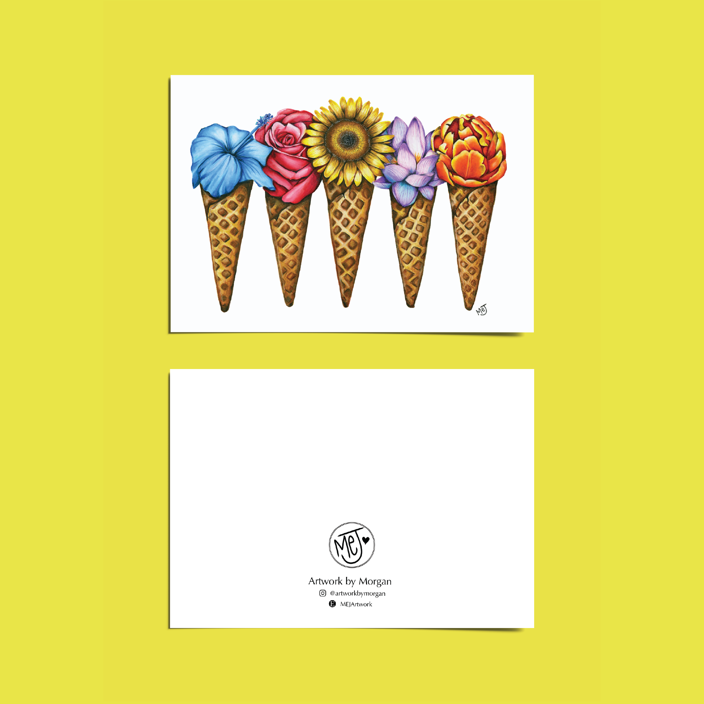 flower cones square.png