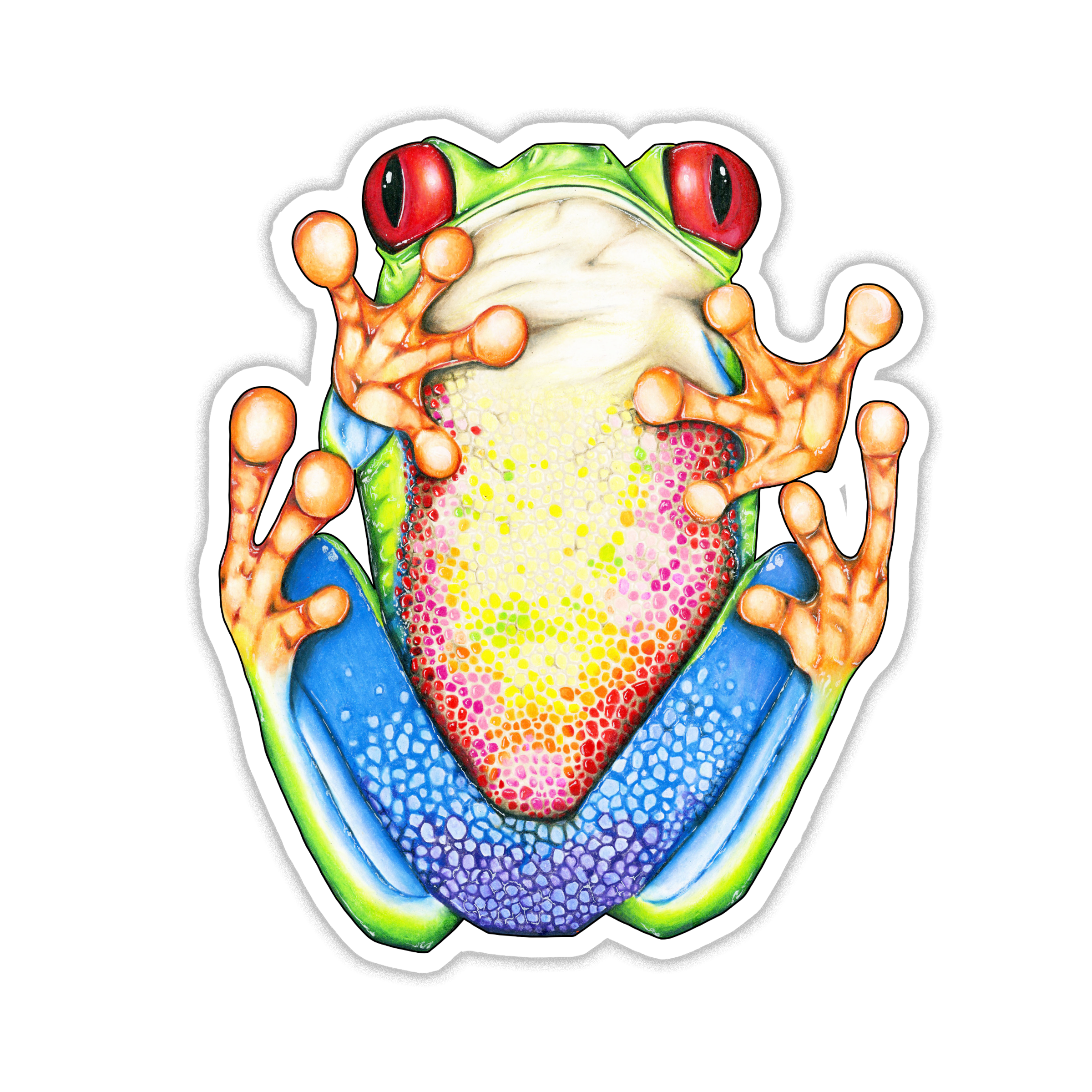 Colorful Tree Frog Sticker