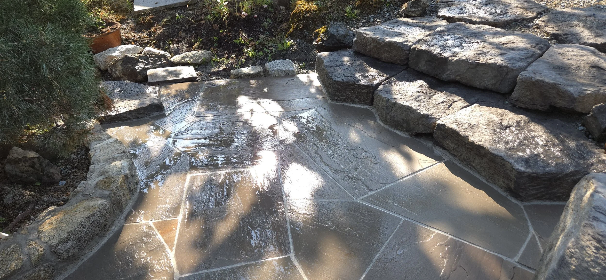 A stone pathway with wet, shiny surface, bordered by large rocks and small plants, in a garden setting.