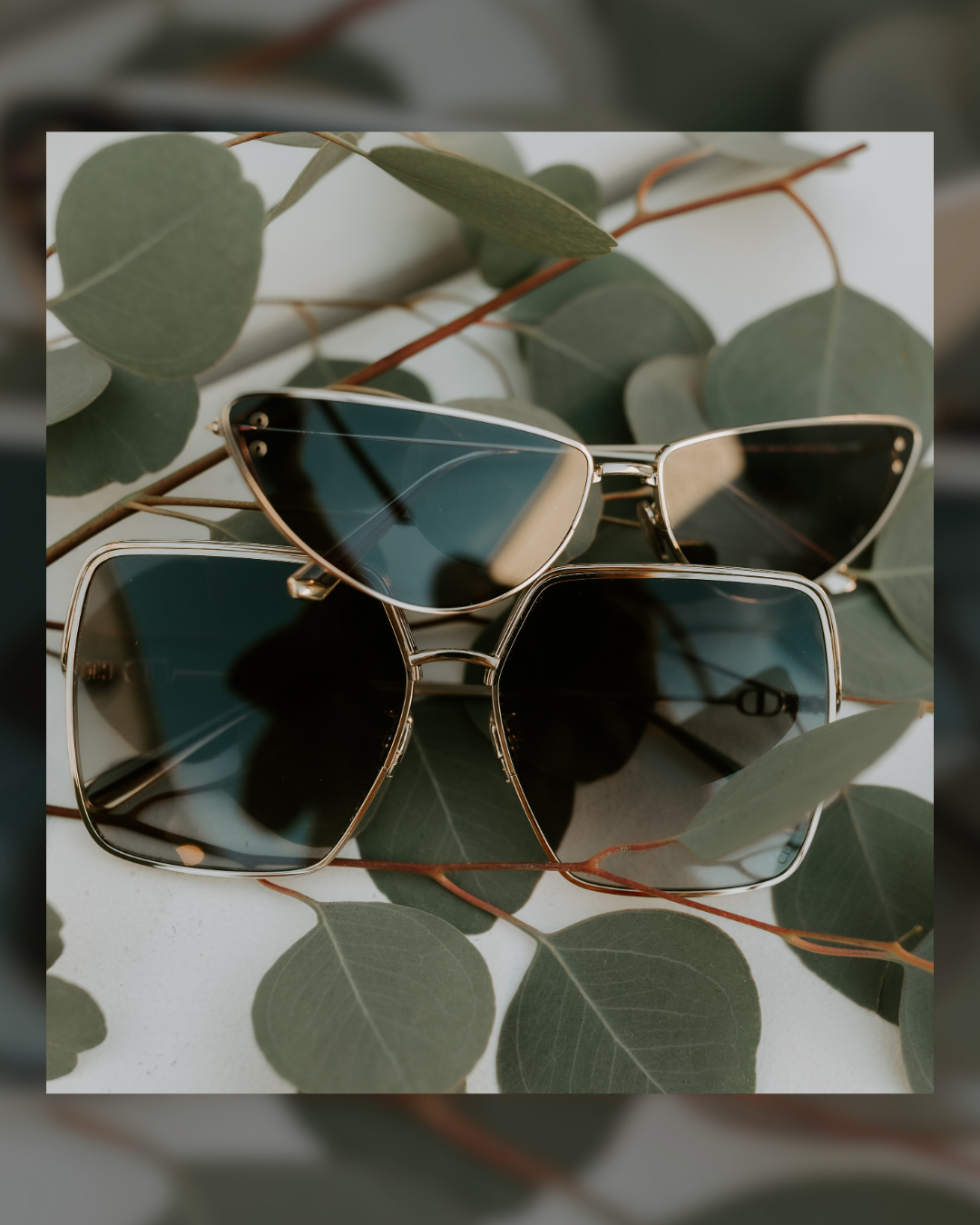 Two pairs of sunglasses placed on green eucalyptus leaves, one with dark lenses and a thin metal frame, the other with square-shaped dark lenses and a gold metal frame.