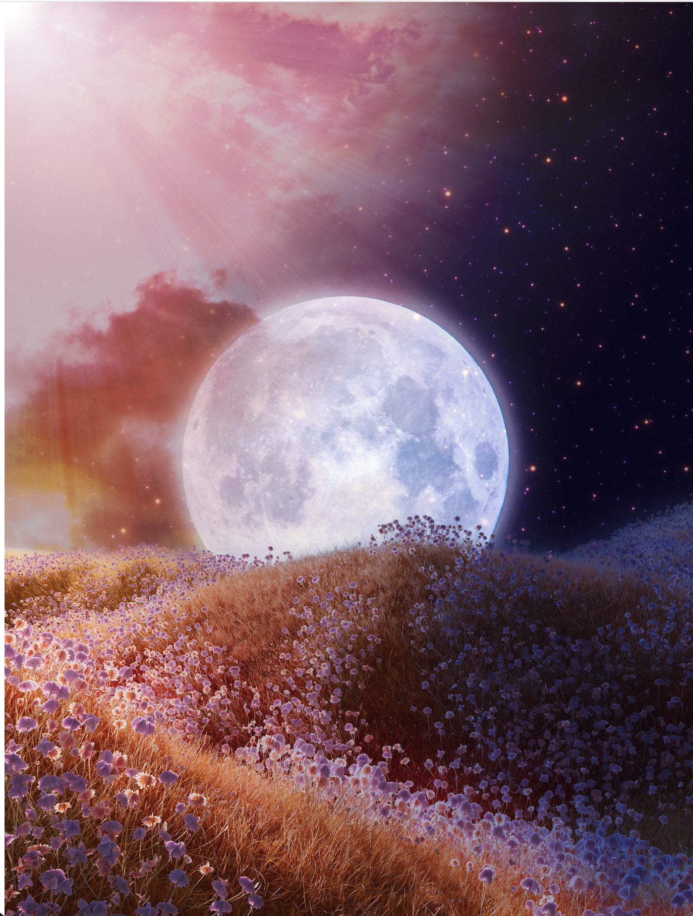 Surreal landscape with large full moon over a grassy hillside of purple flowers, under a colorful sky with clouds, stars, and a pinkish glow.