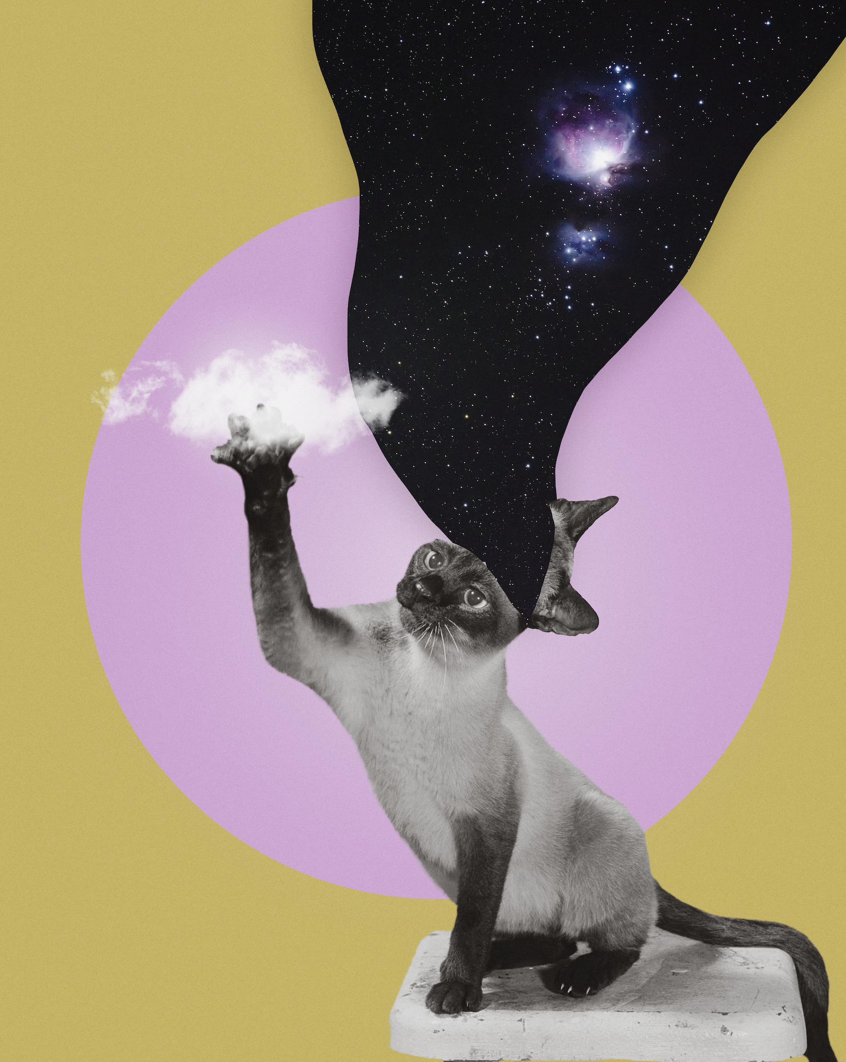 Screenshot 2026-03-11 at 10.33.40 AM.png