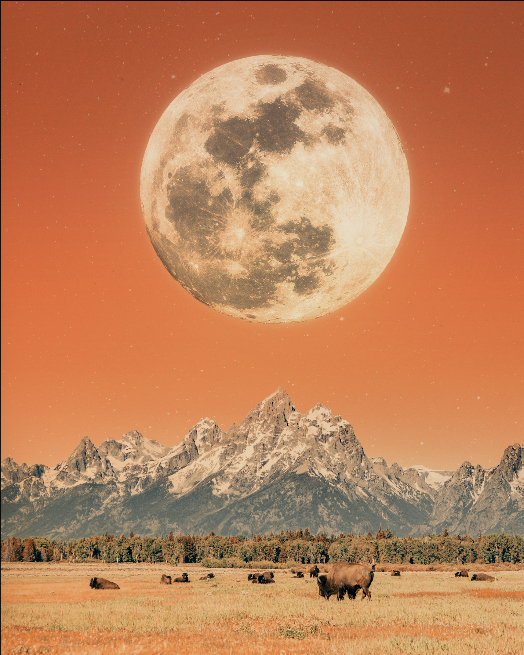 A landscape with mountains, bison grazing in a field, and a large full moon in an orange sky.