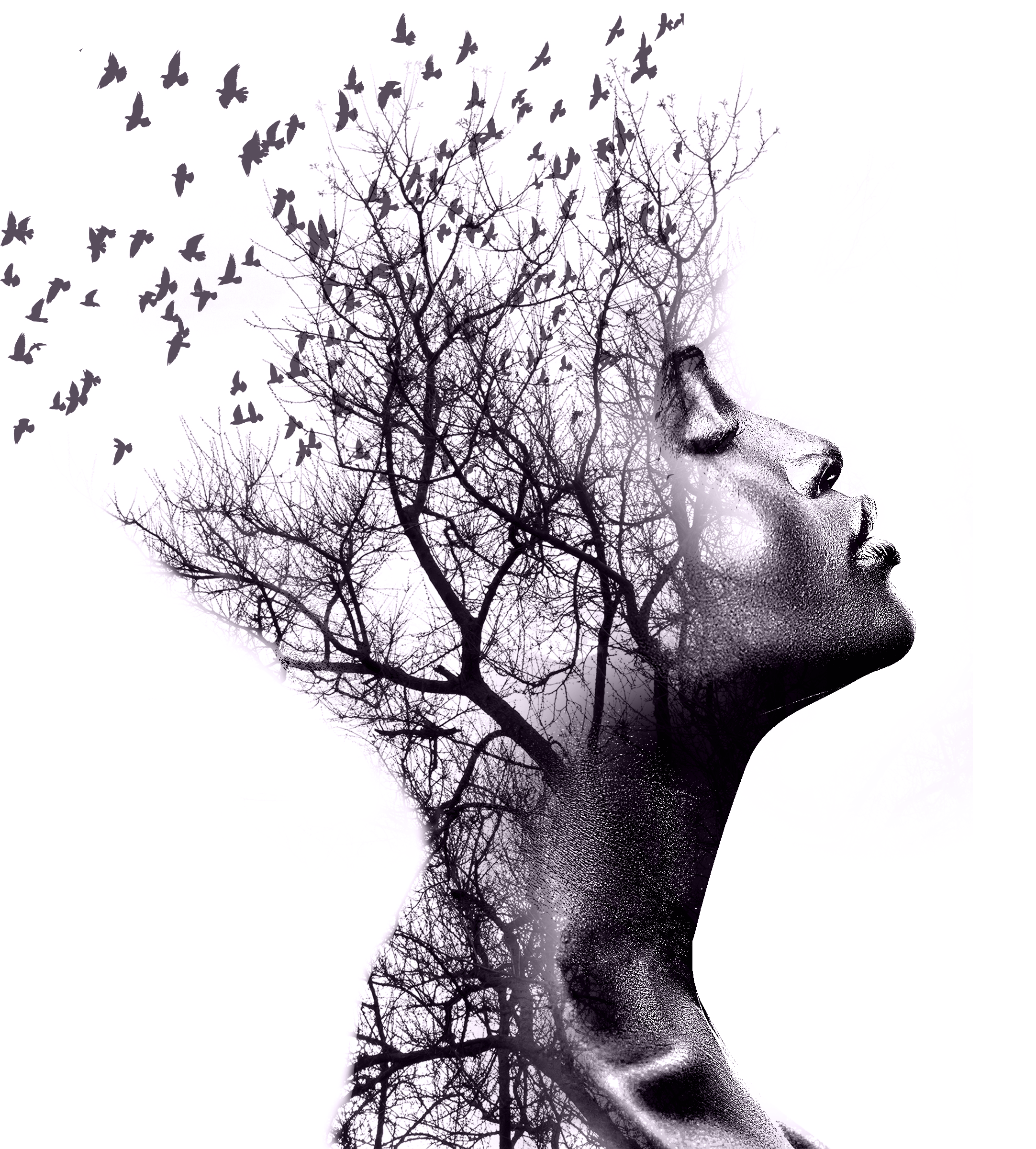 A double exposure image of a woman's profile with the silhouette of leafless tree branches and birds flying in the sky overlapping her head.