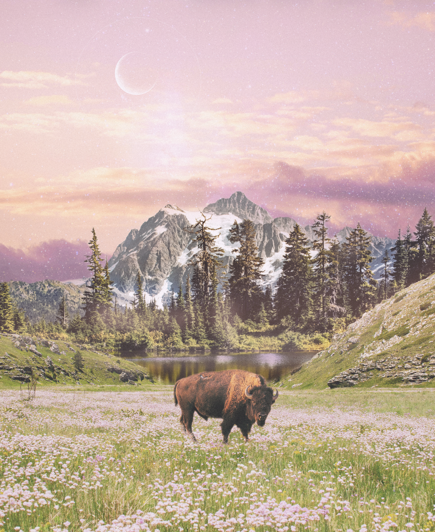 A bison standing in a pink flowered meadow in front of a mountain range with snow-capped peaks, a small lake, and a pink sky with a crescent moon and stars.