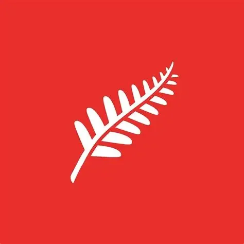 Papatoetoe Labour Team - Election 2026