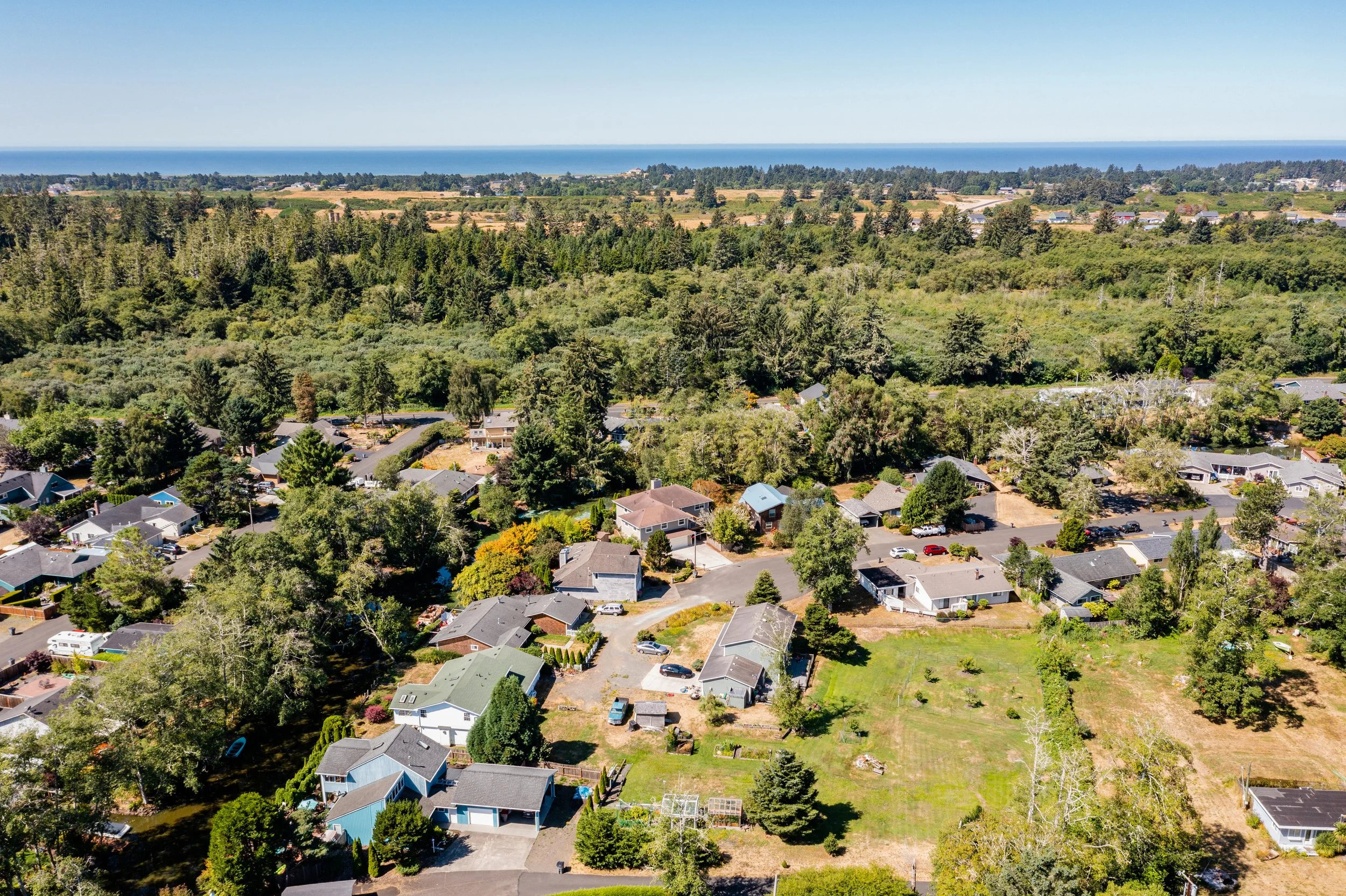 Bird's eye image of homes lining neighborhood streets surrounded by green trees, the ocean lining the distant horizon.