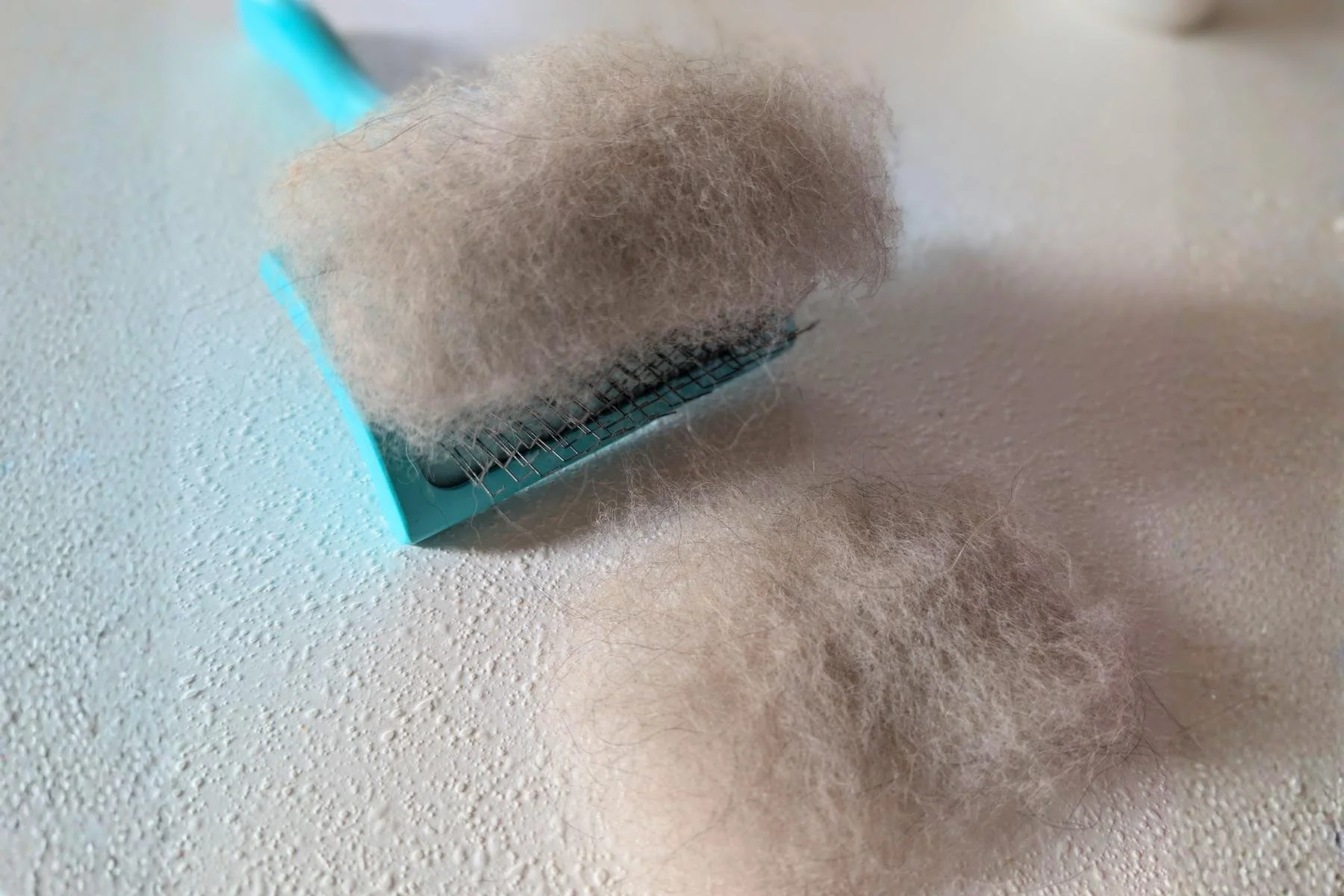 Pomeranian Blowing Coat Survival Kit