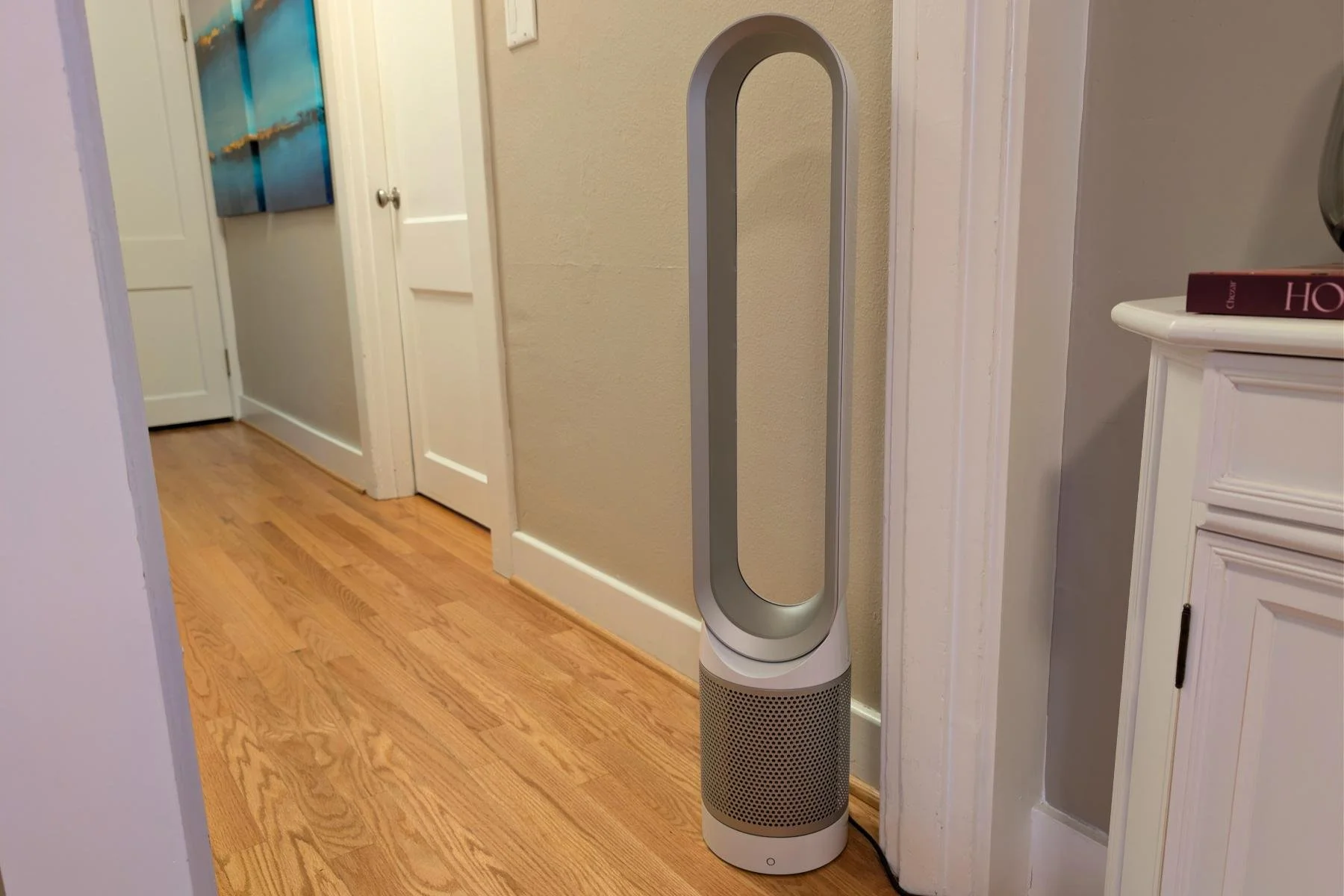 Dyson air purifier in a home hallway, used to reduce Pomeranian dander and pet hair in the air
