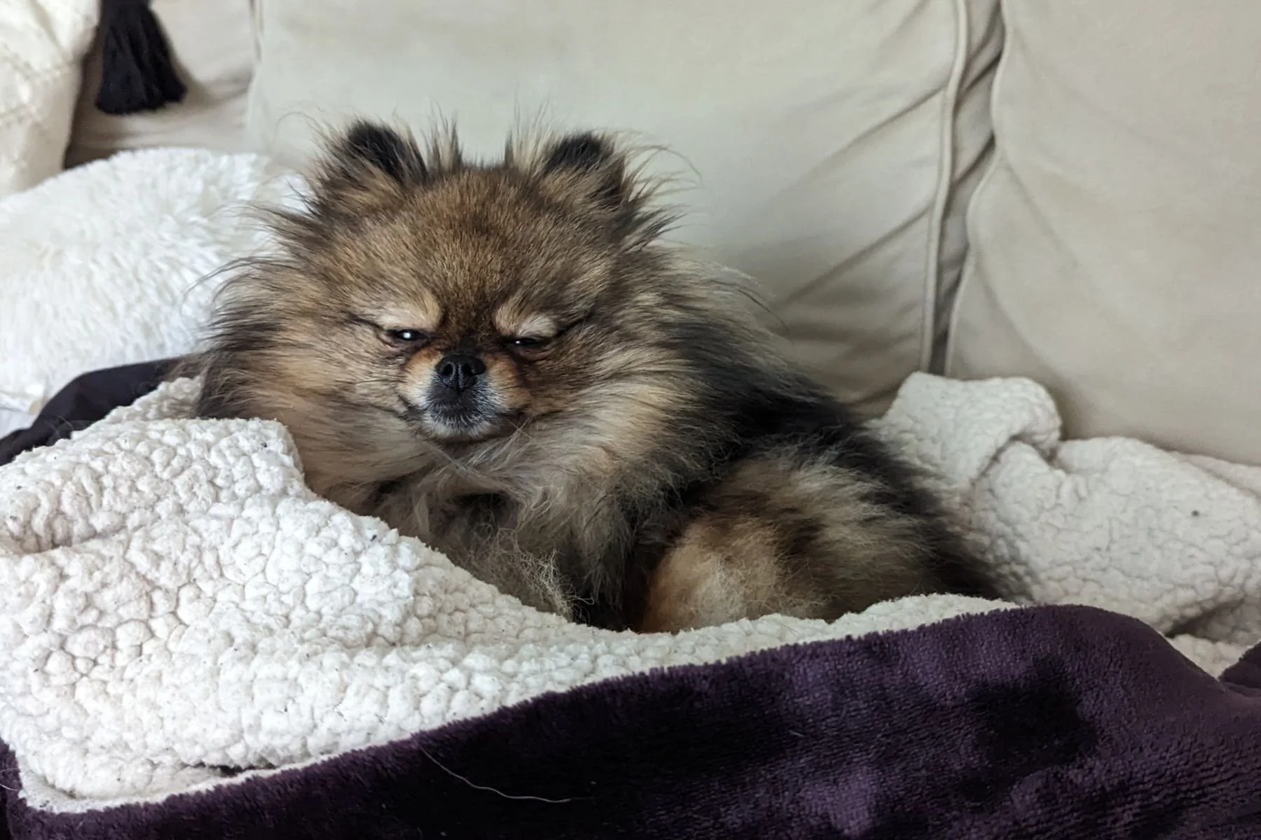 Overstimulation Isn’t the Problem. Missing Stillness Is