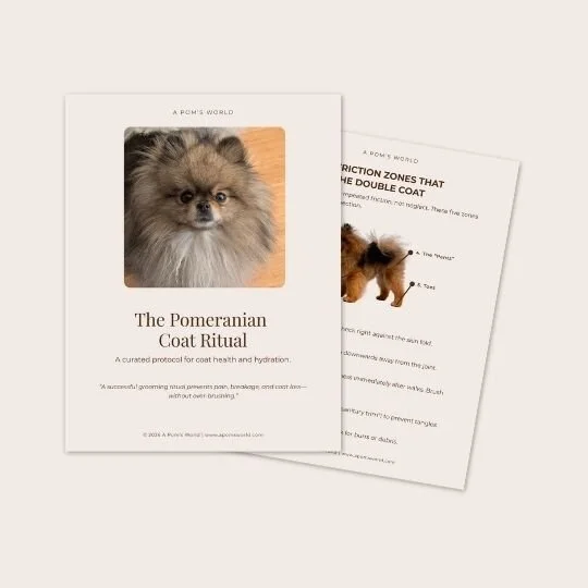Two pages from a booklet titled "The Pomeranian Coat Ritual" featuring a photo of a Pomeranian dog on the cover.
