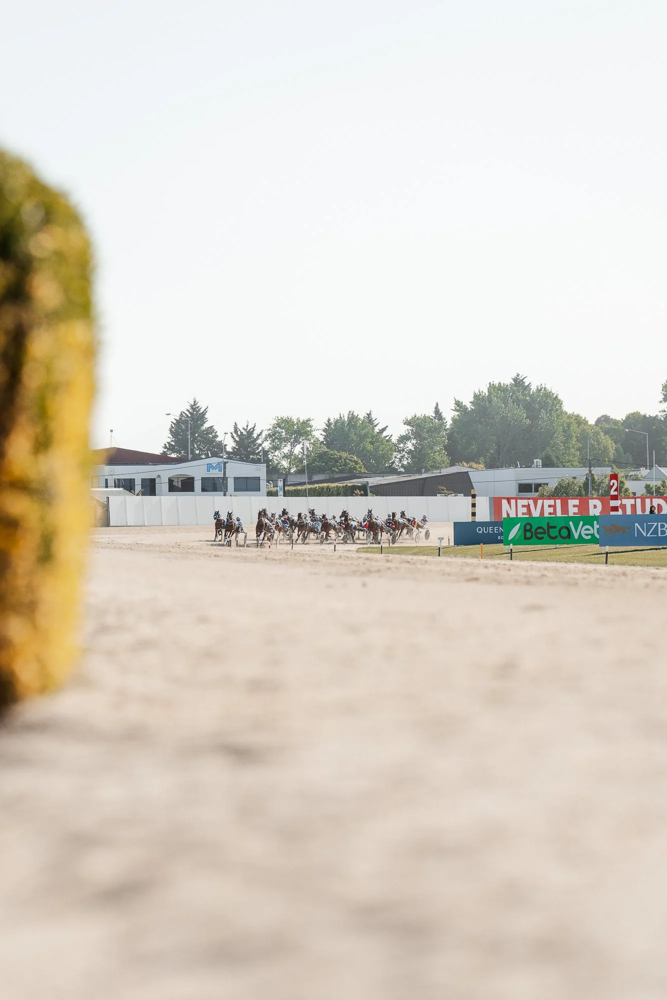 Kurt Cup Day Picks-32.jpg