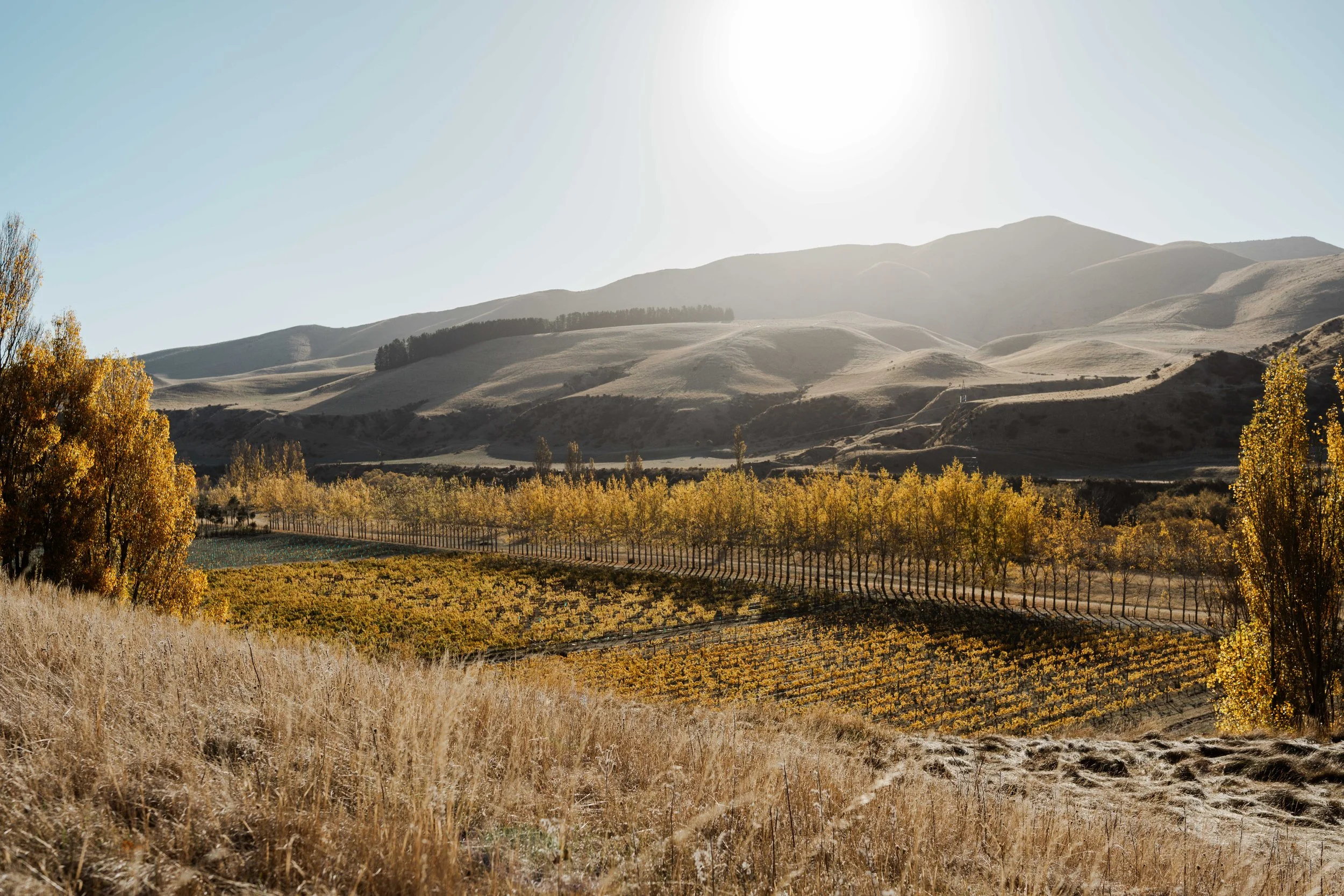 Fire & Feast 2024-131.jpg