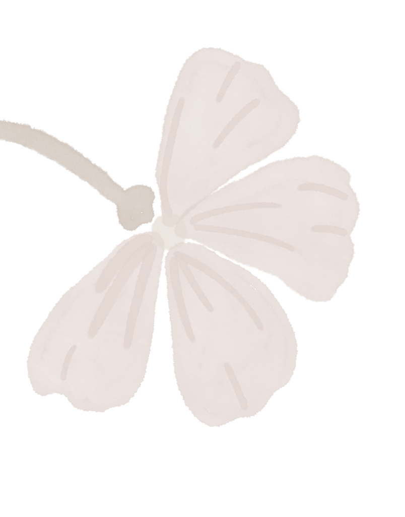 A four-leaf clover with pale pinkish-white leaves against a light background.
