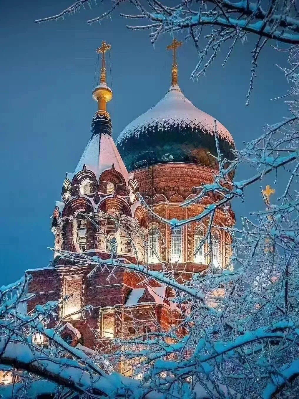 A snow-covered church with onion domes illuminated at night, surrounded by snow-laden tree branches. Saint Sophia Cathedral in Harbin