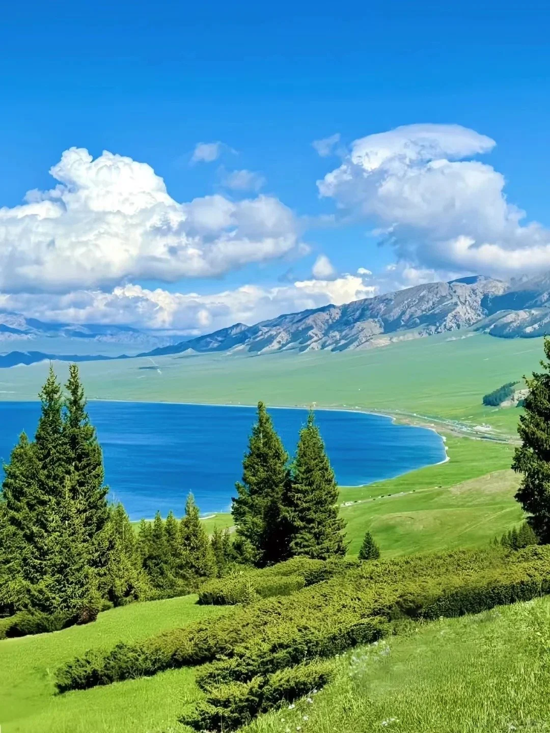 Scenic landscape with a lake, lush green grass, trees, and mountains under a partly cloudy sky. Altay, Xinjiang