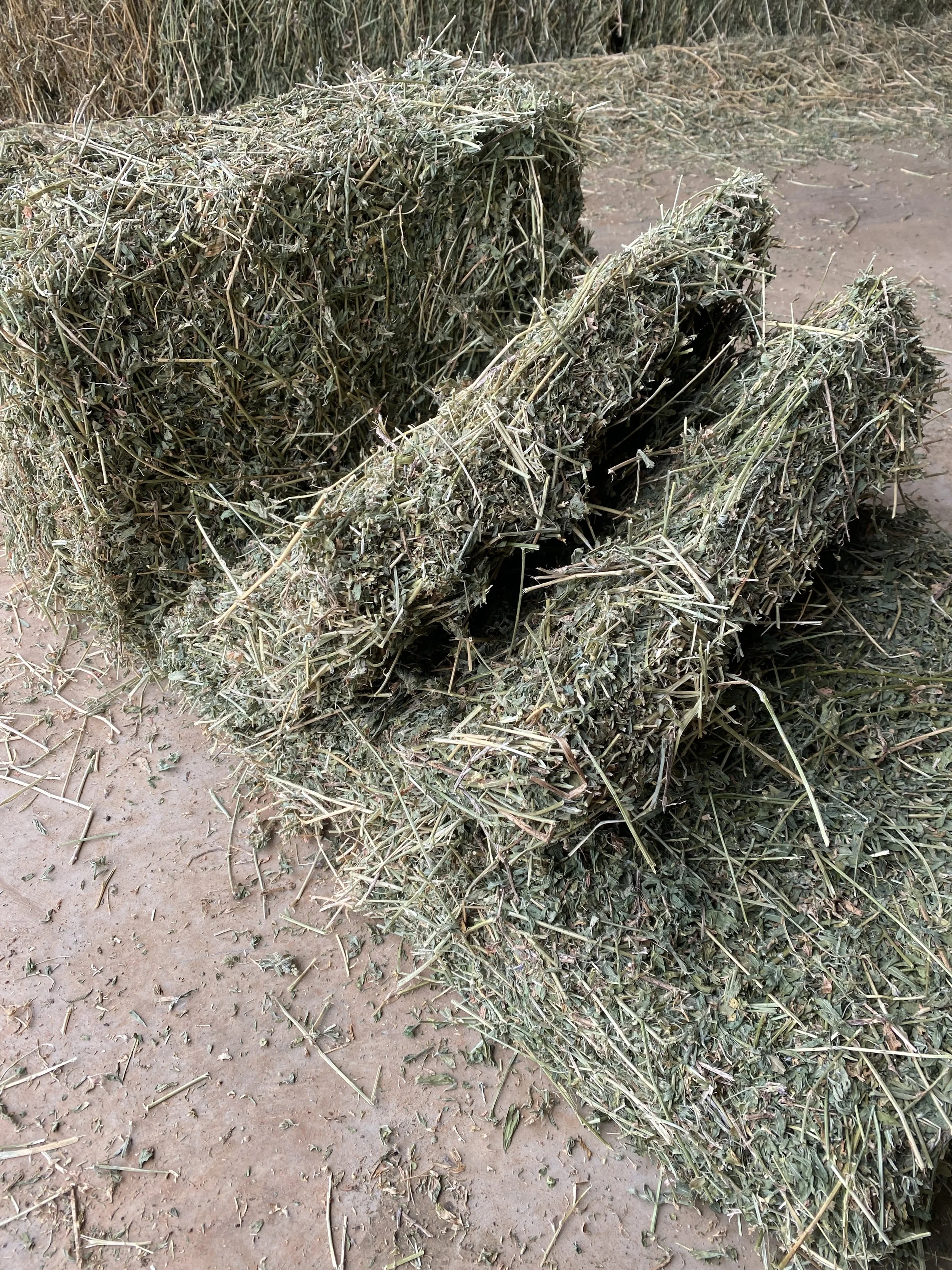 40 Second Grade Lucerne Hay Bales (Delivered)