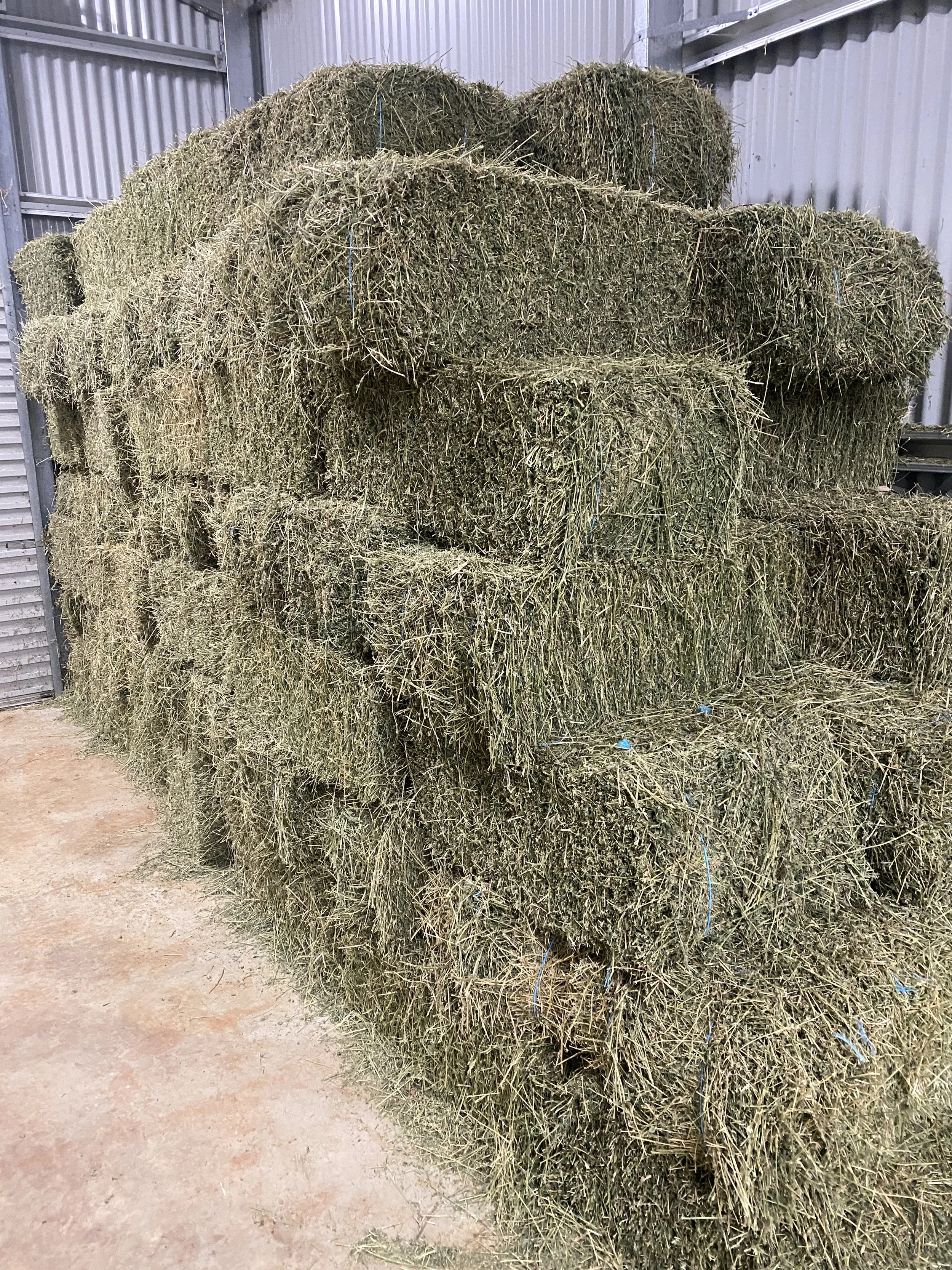 180 A Grade Lucerne Hay Bales (Delivered)