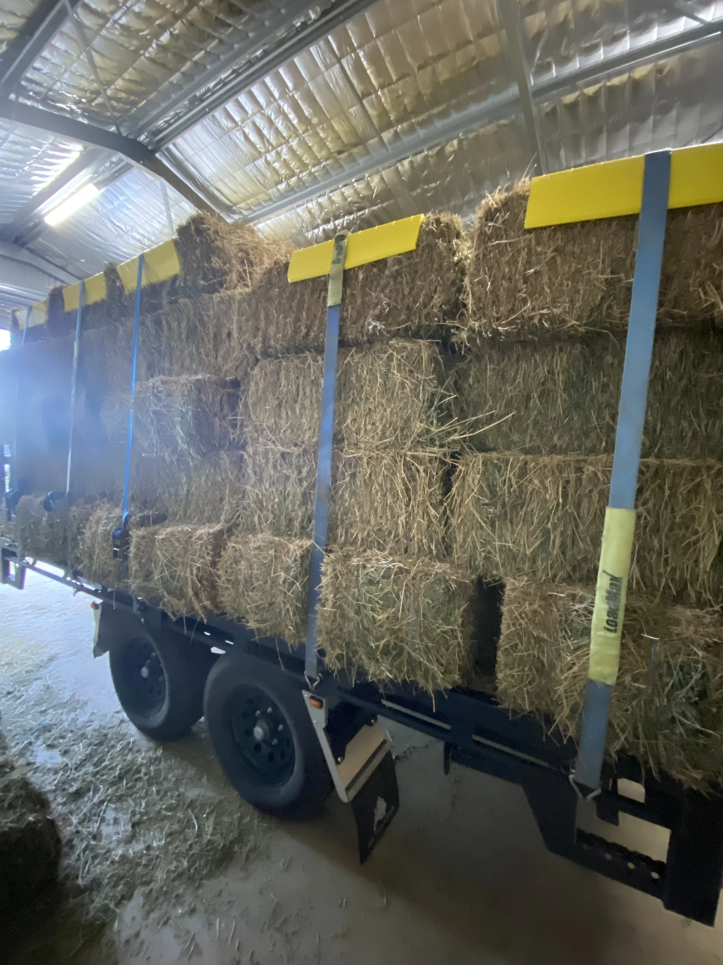 100 Second Grade Lucerne Hay Bales (Delivered)