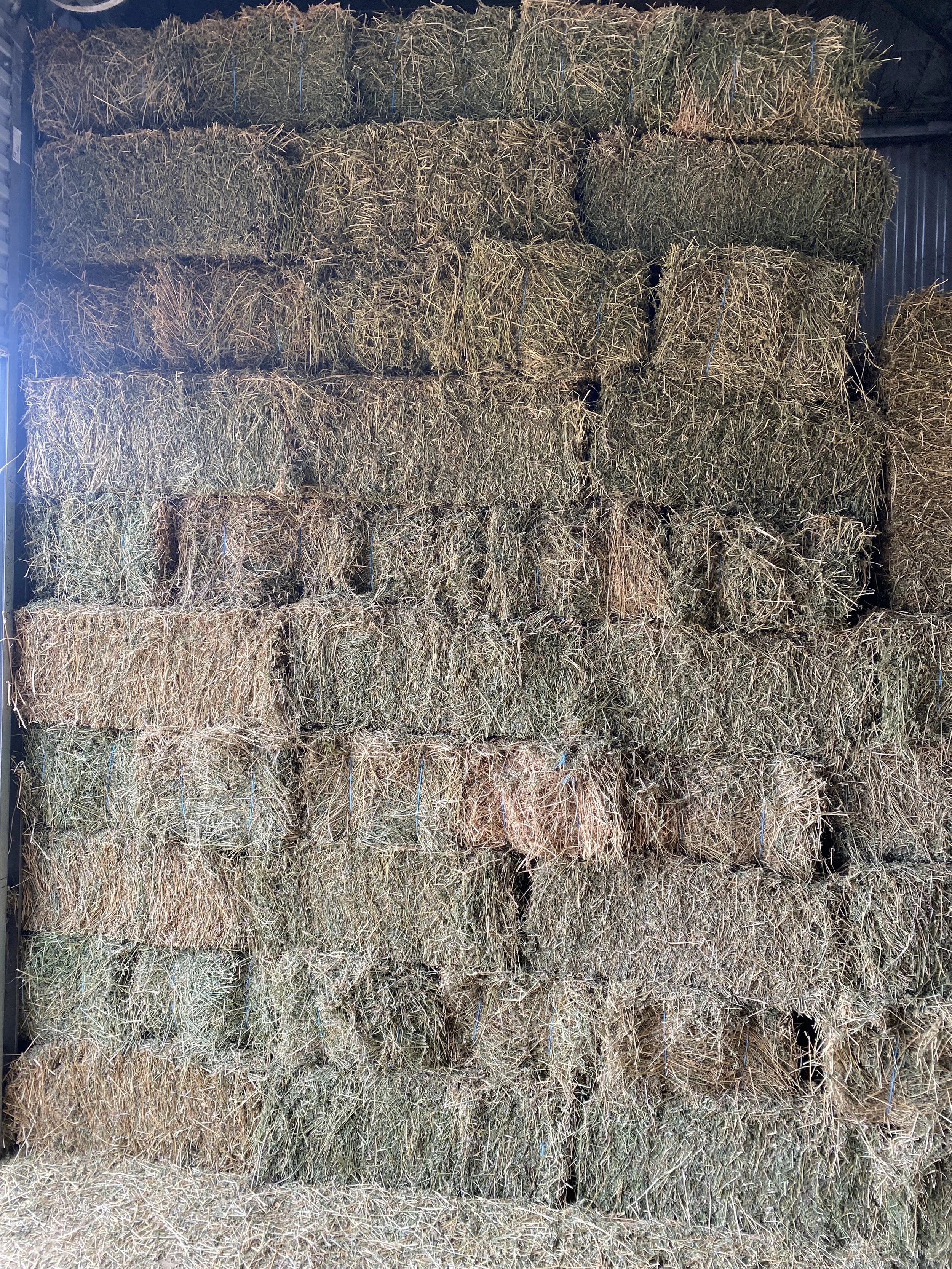 180 Second Grade Lucerne Hay Bales (Delivered)