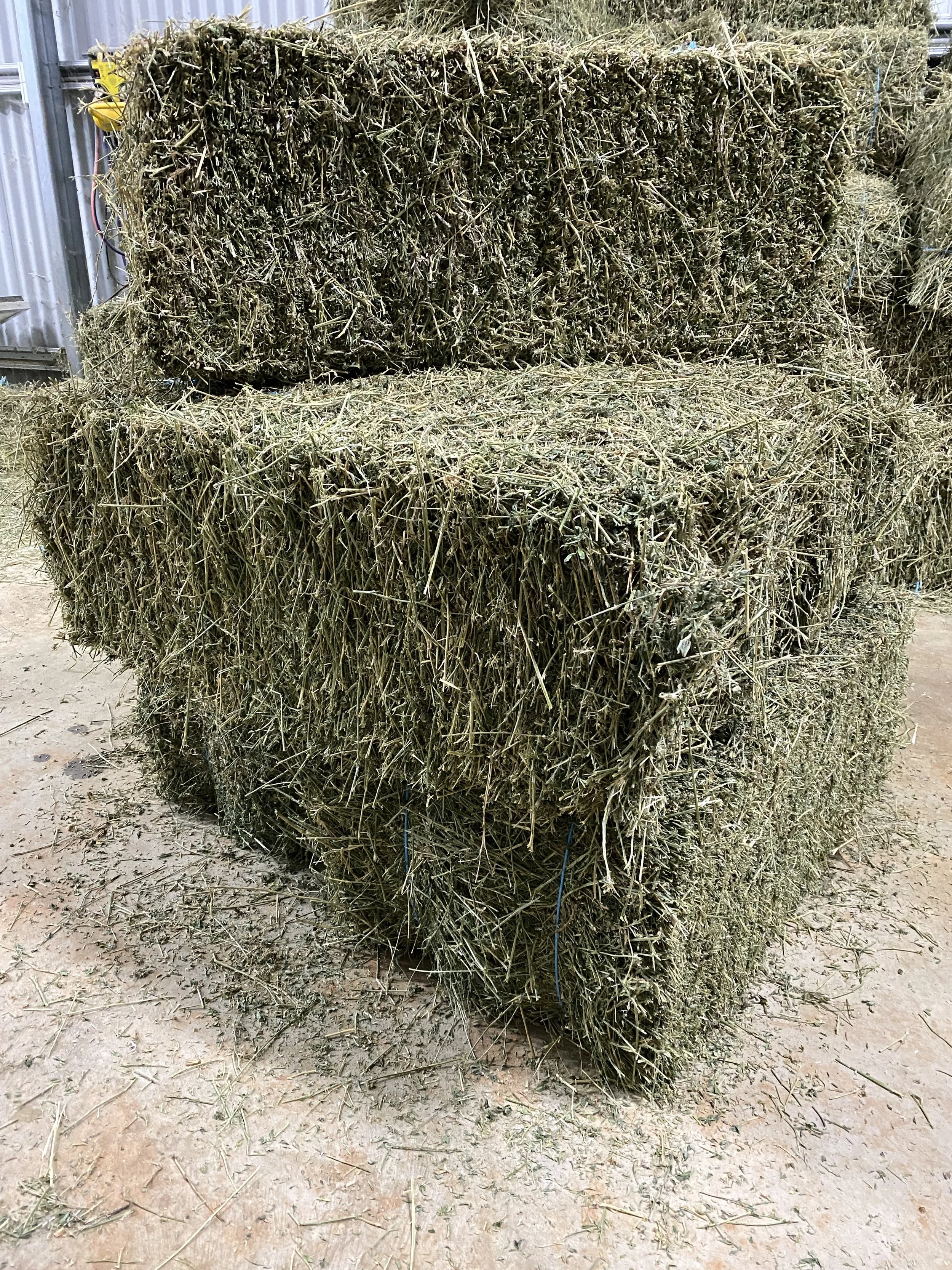 5 A Grade Lucerne Hay Bales (Delivered)